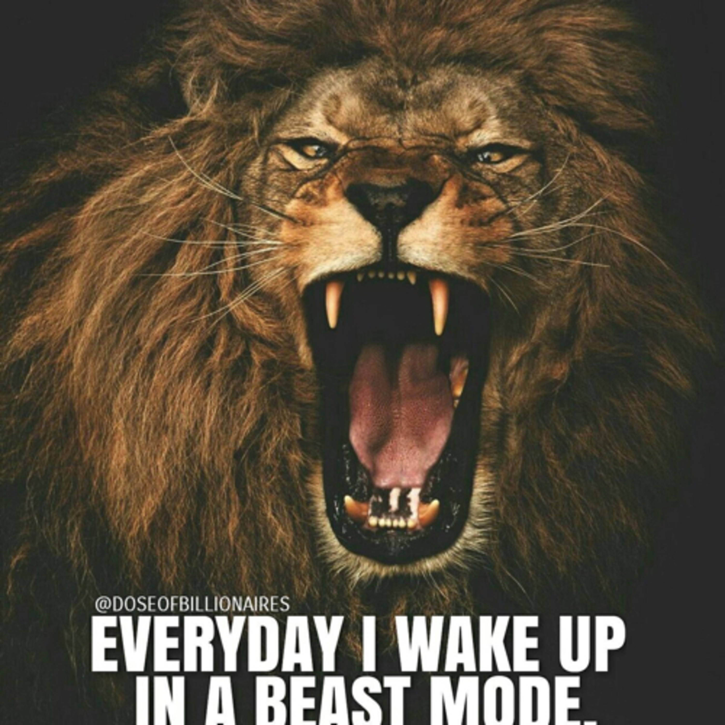 Find Your Beast with TY