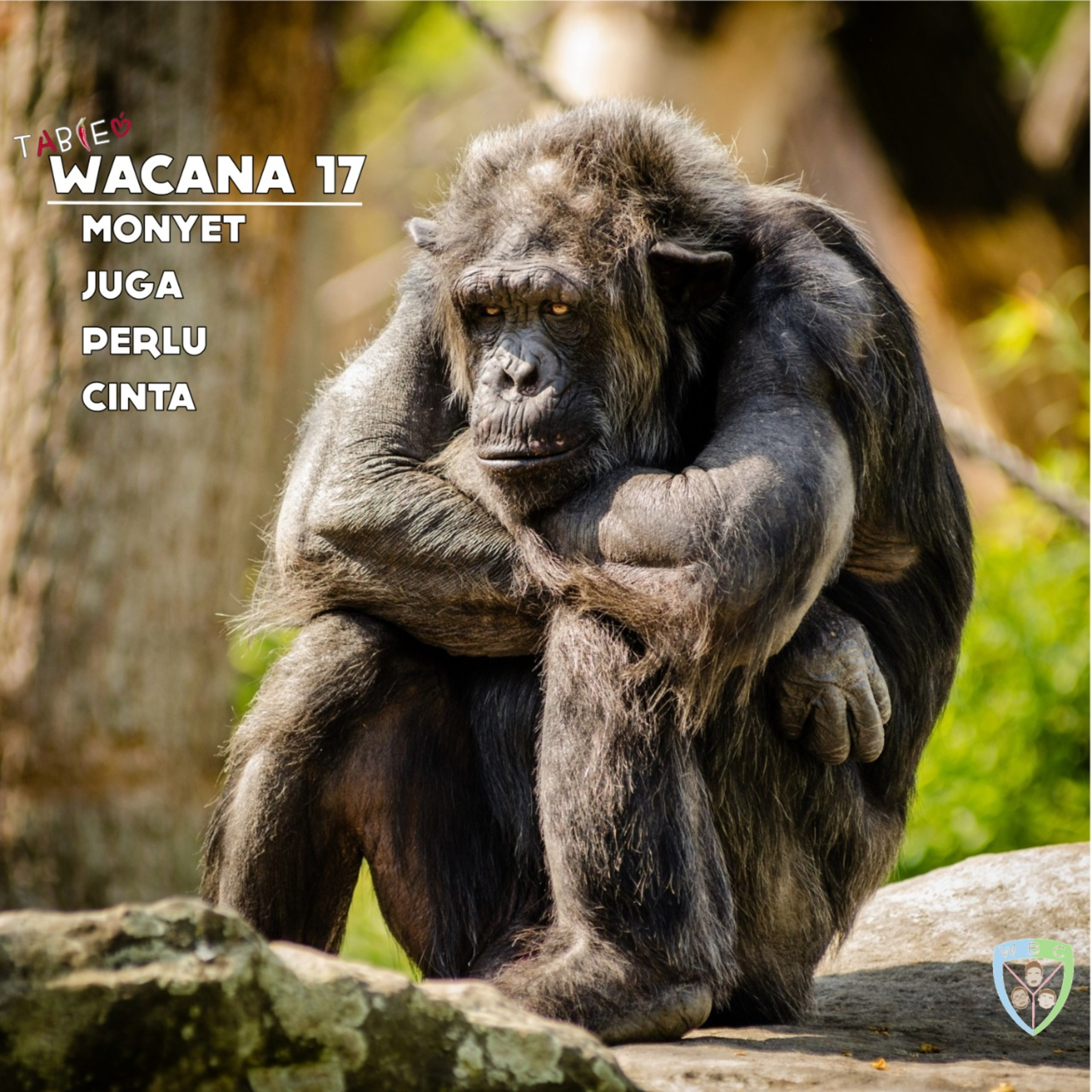 Wacana Bercengkrama