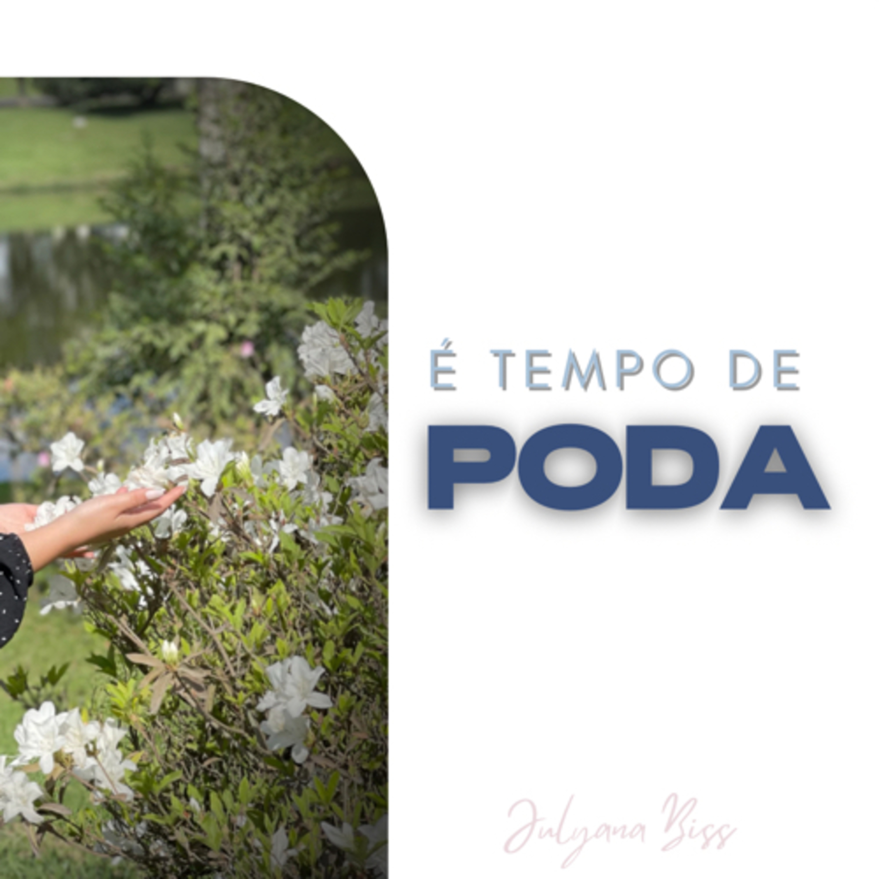 É tempo de poda episode artwork