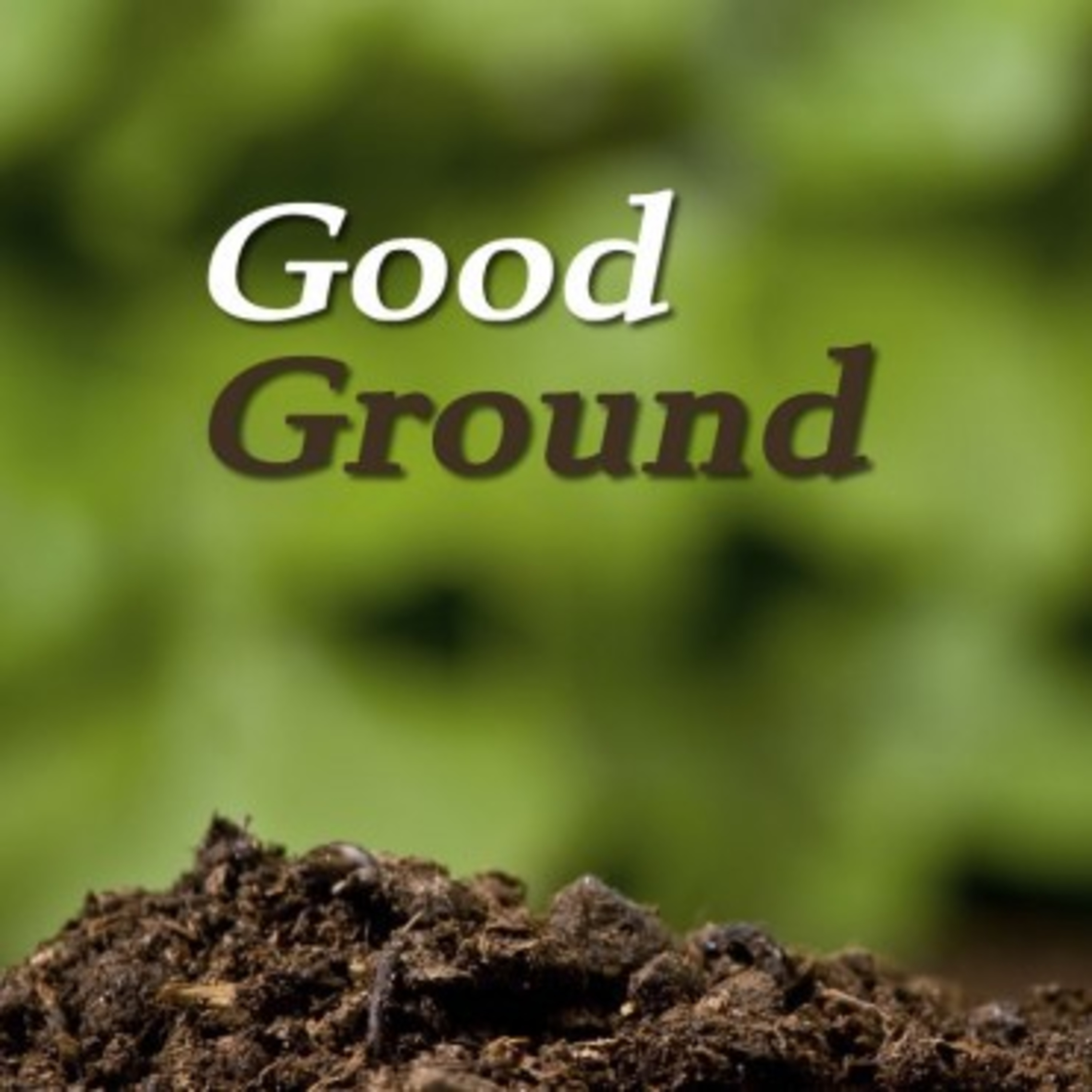 The Good Ground episode artwork