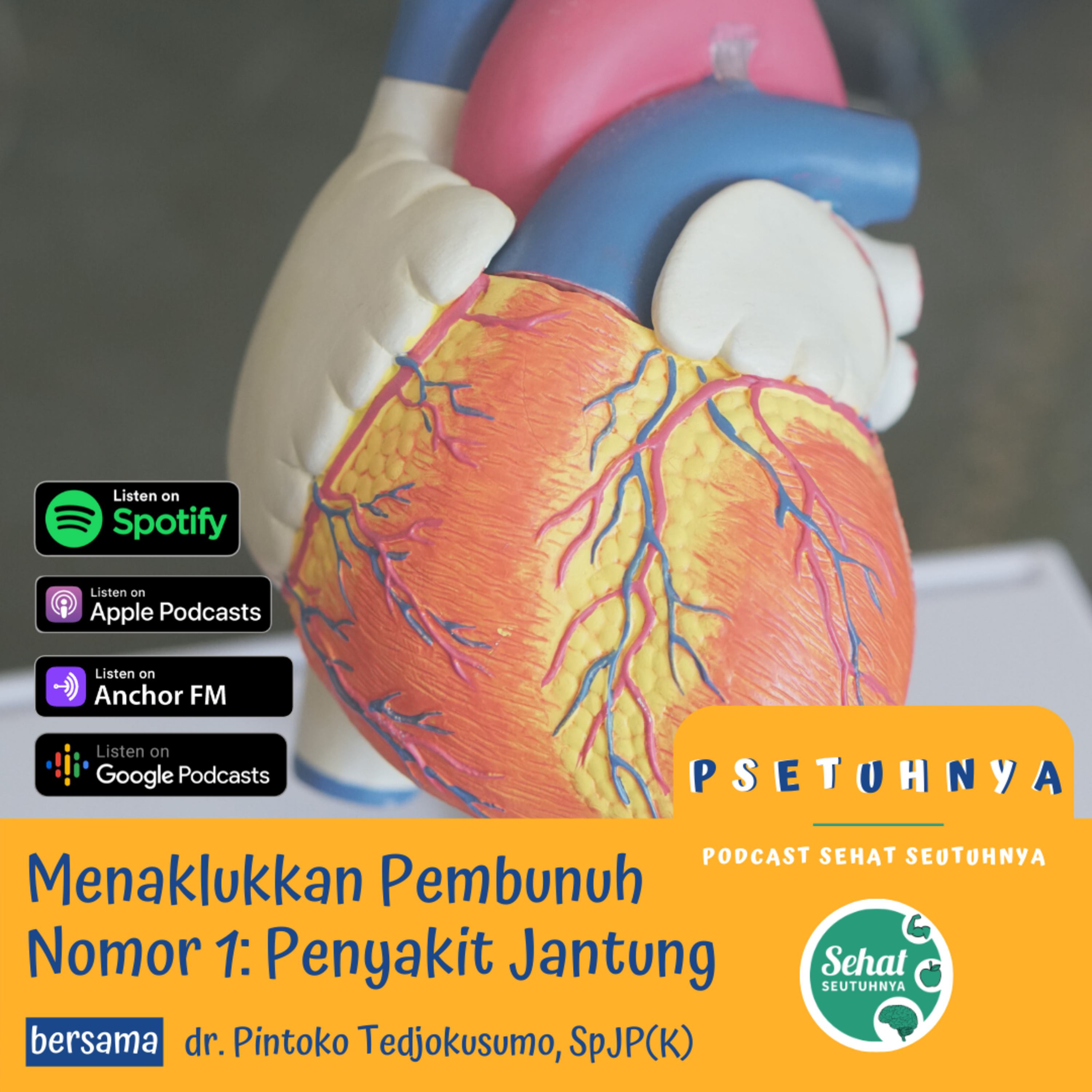 Podcast Sehat Seutuhnya (PSETUHNYA)