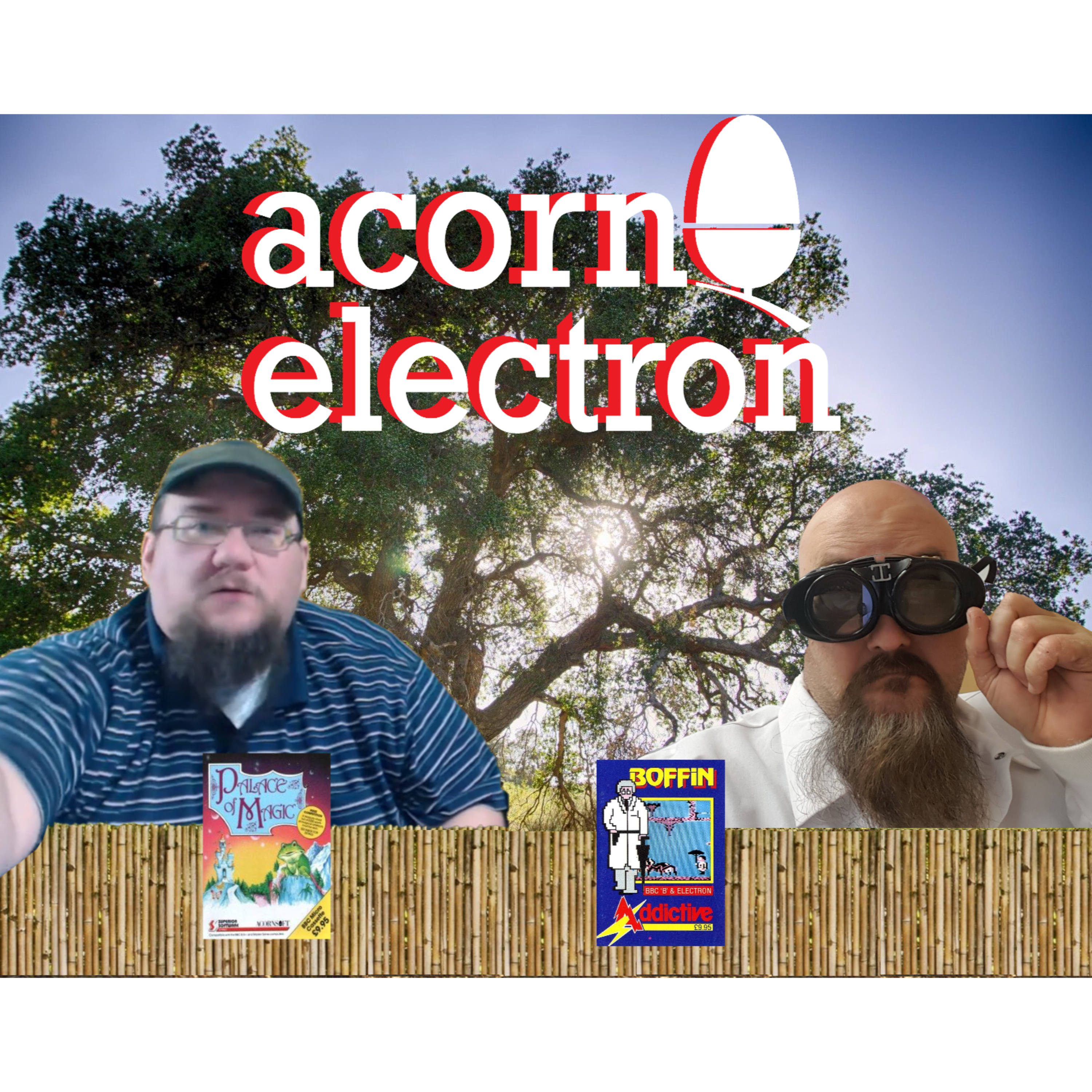 Acorn Electron Games - Boffin & Palace of Magic - ARG Presents 126 episode artwork