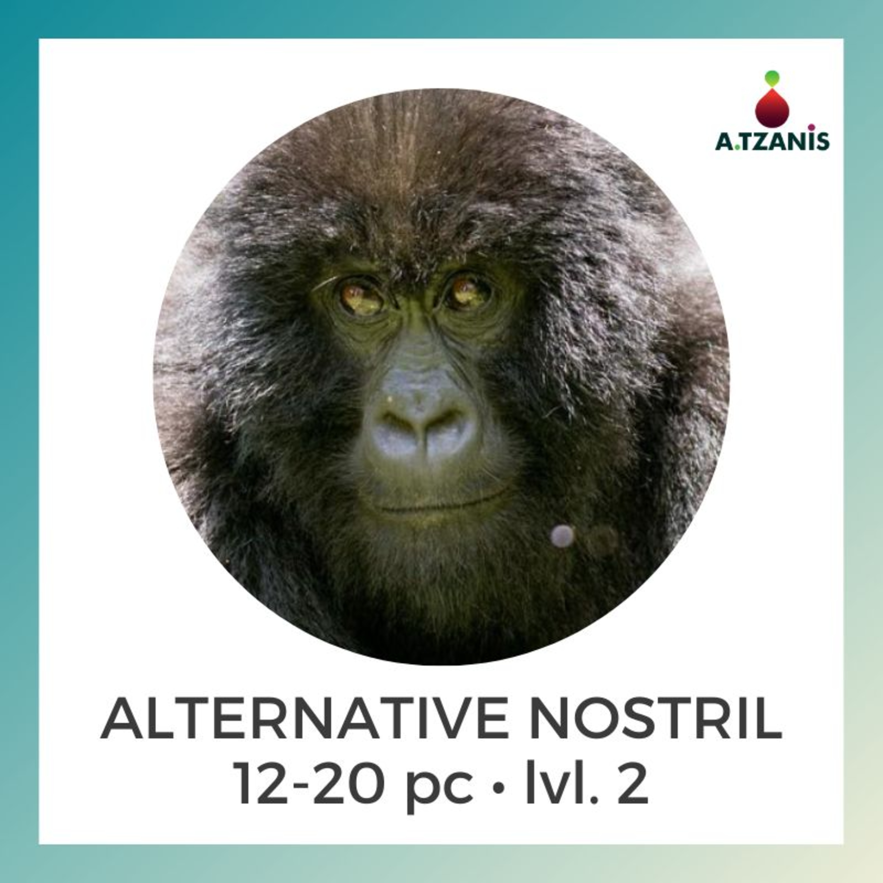 Breathwork with Anastasis