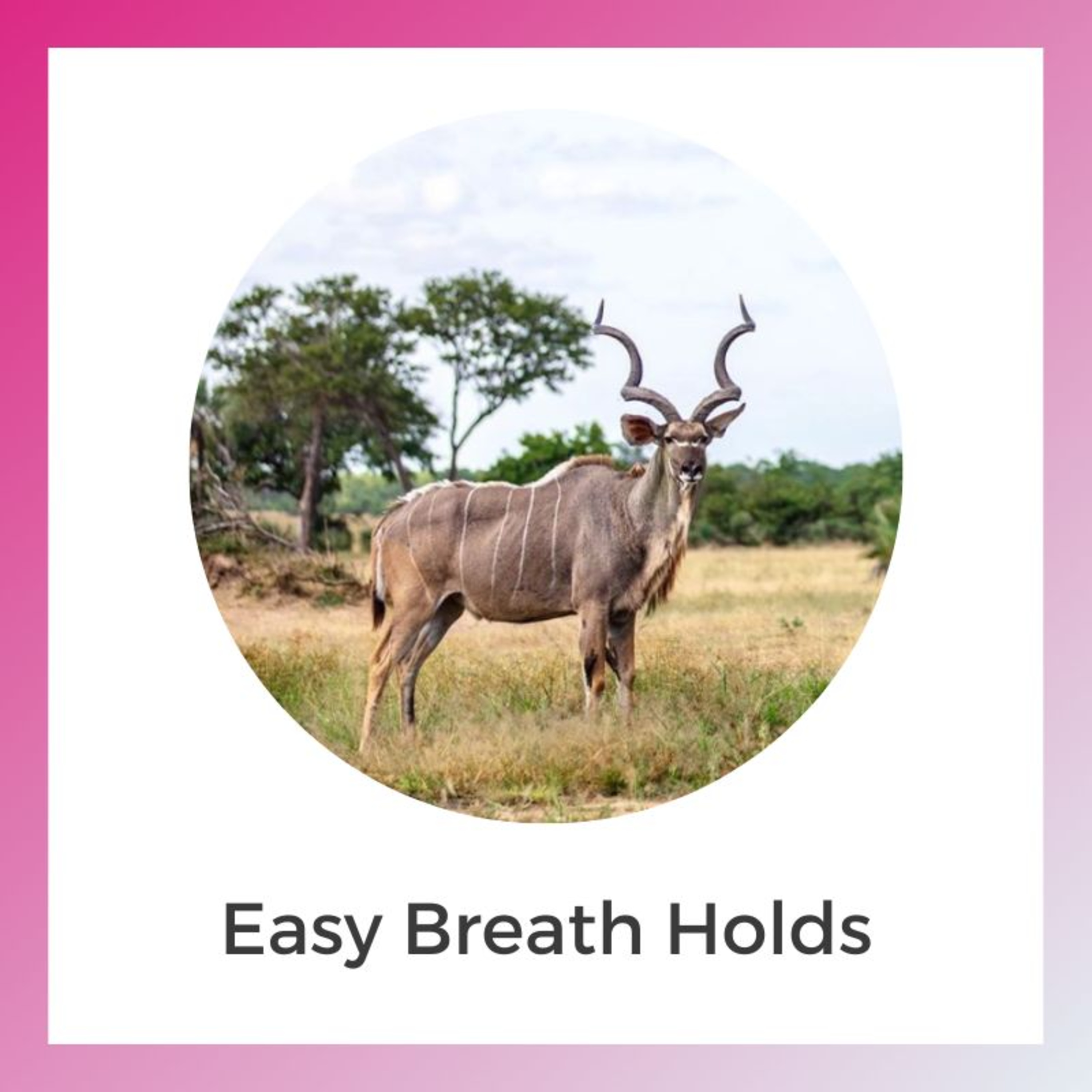 Breathwork with Anastasis