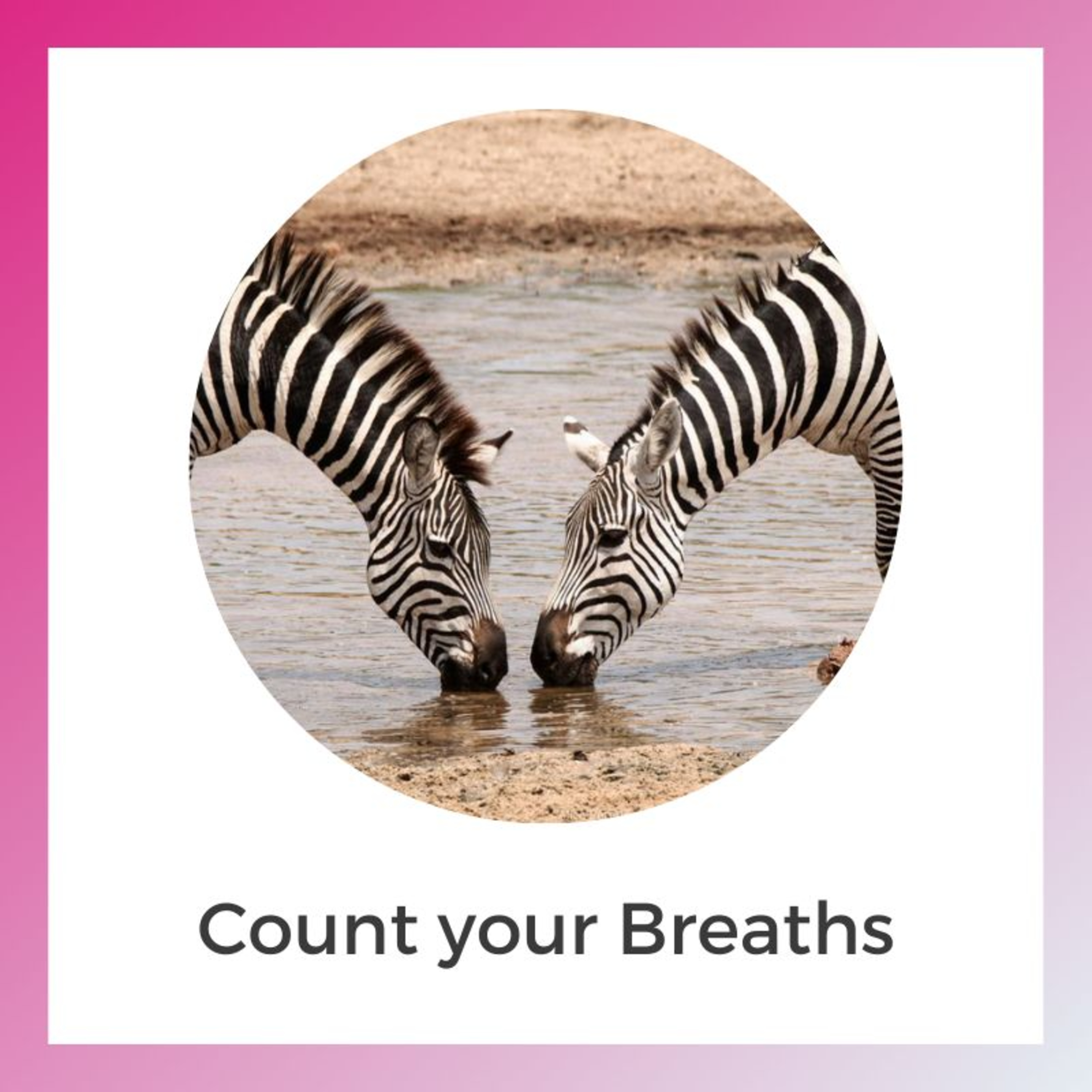 Breathwork with Anastasis