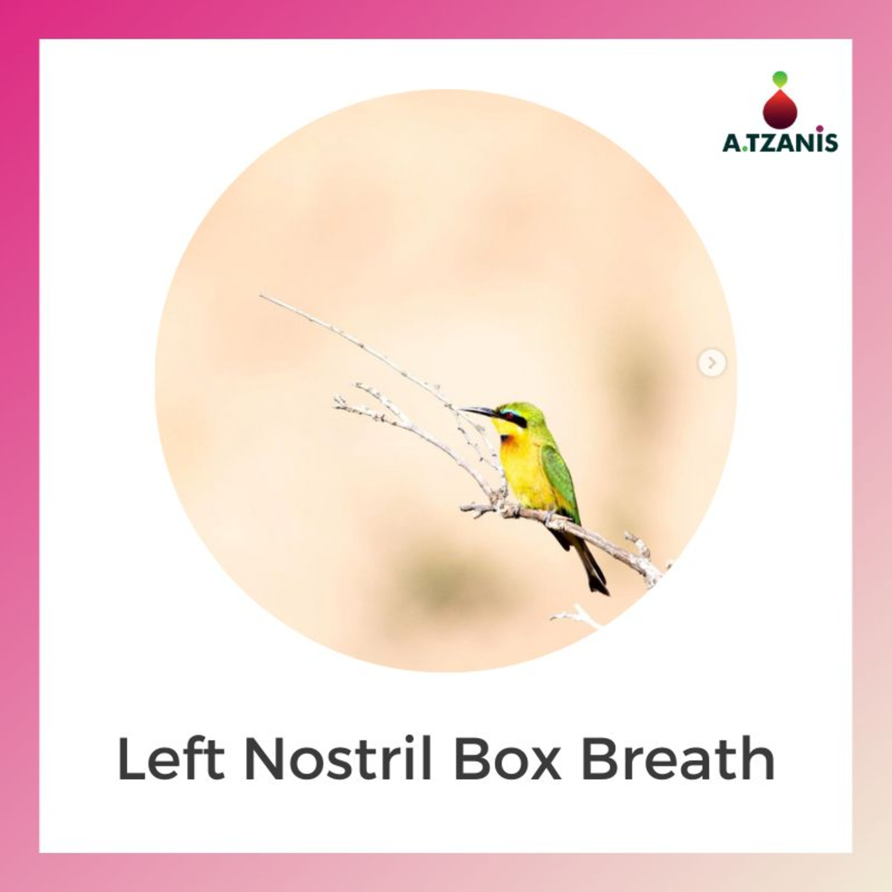 Breathwork with Anastasis