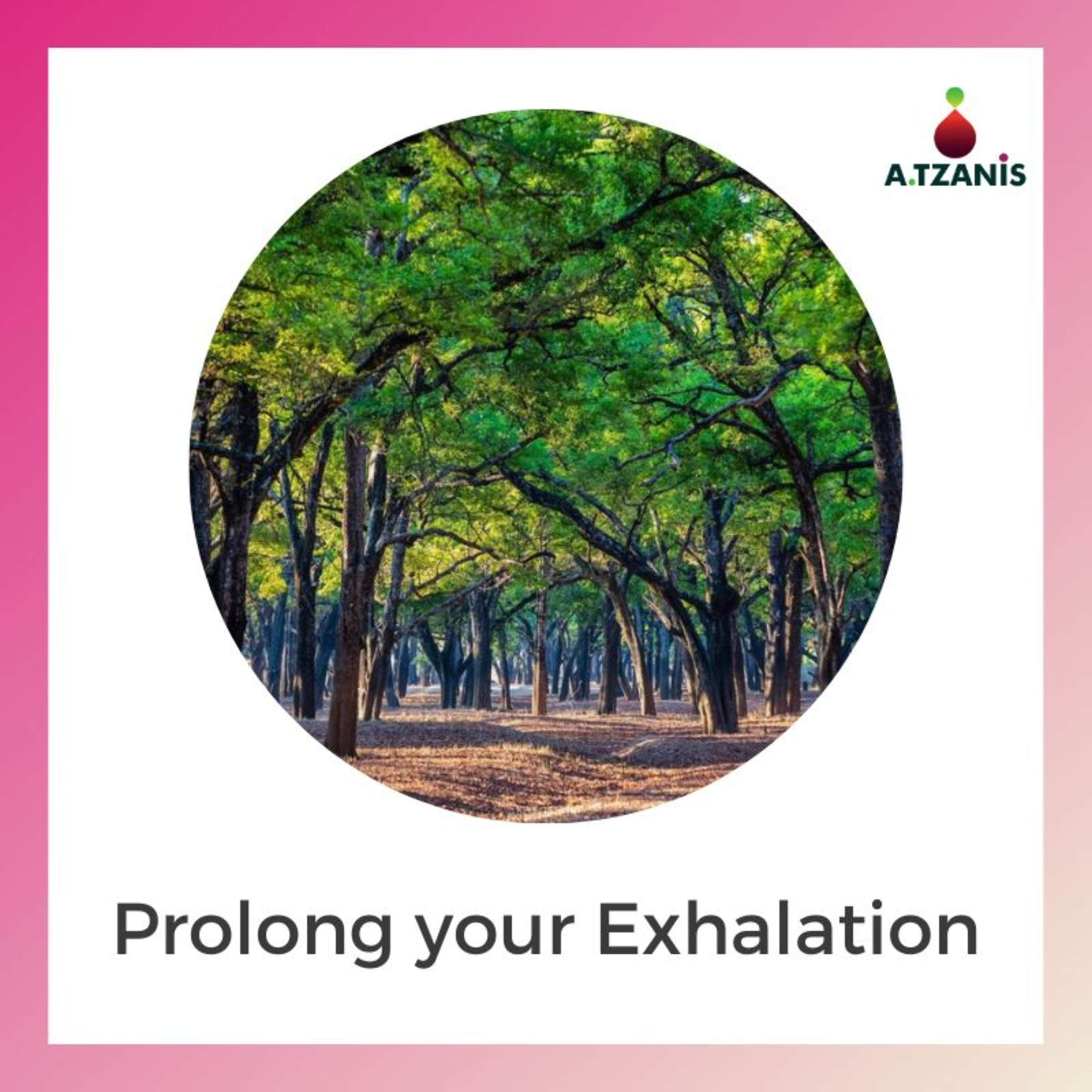 Breathwork with Anastasis