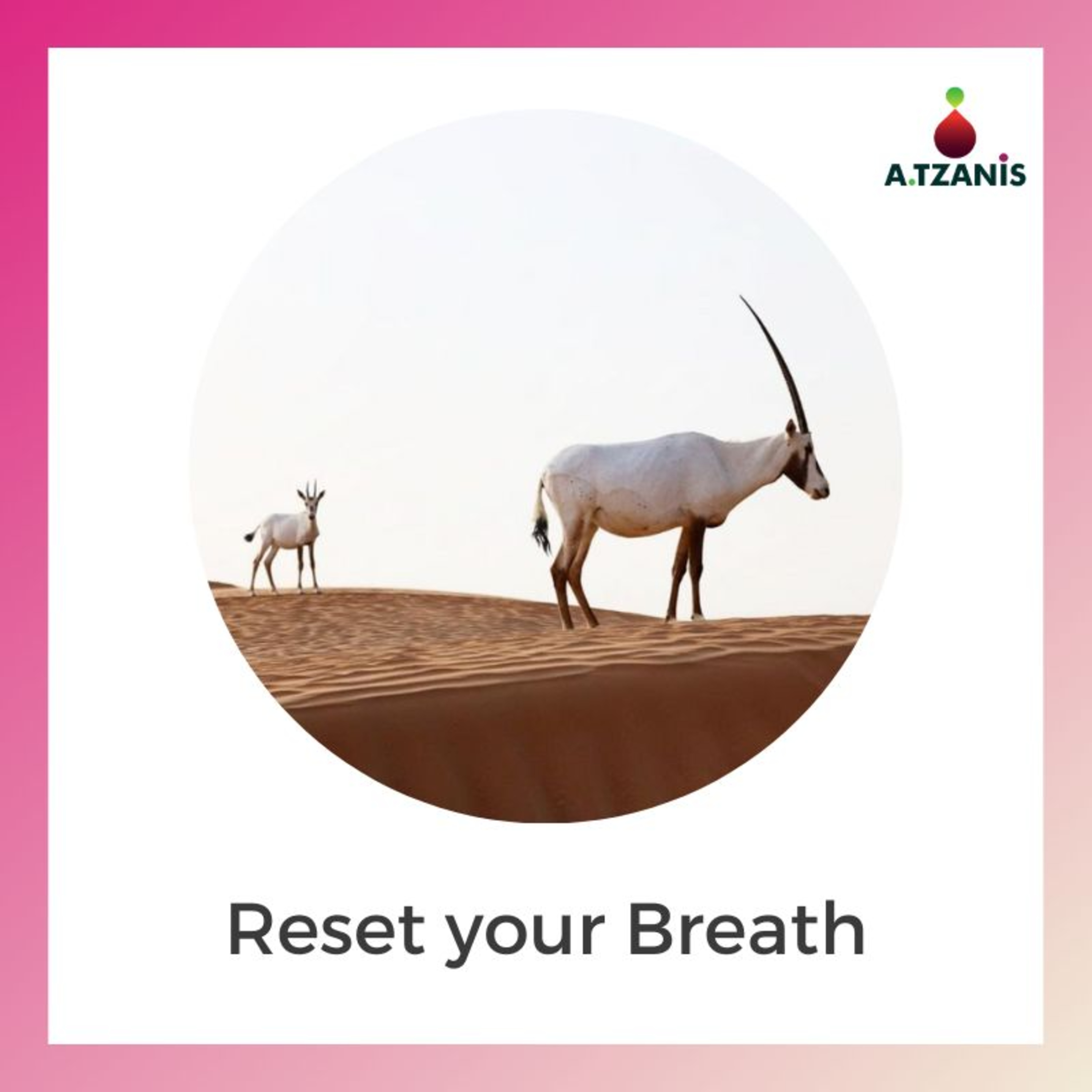 Breathwork with Anastasis