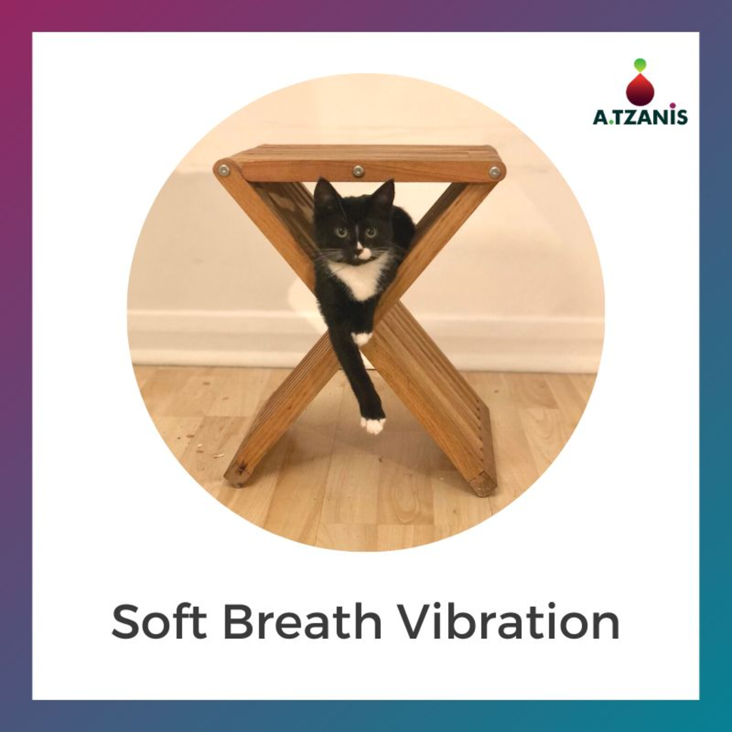 Breathwork with Anastasis