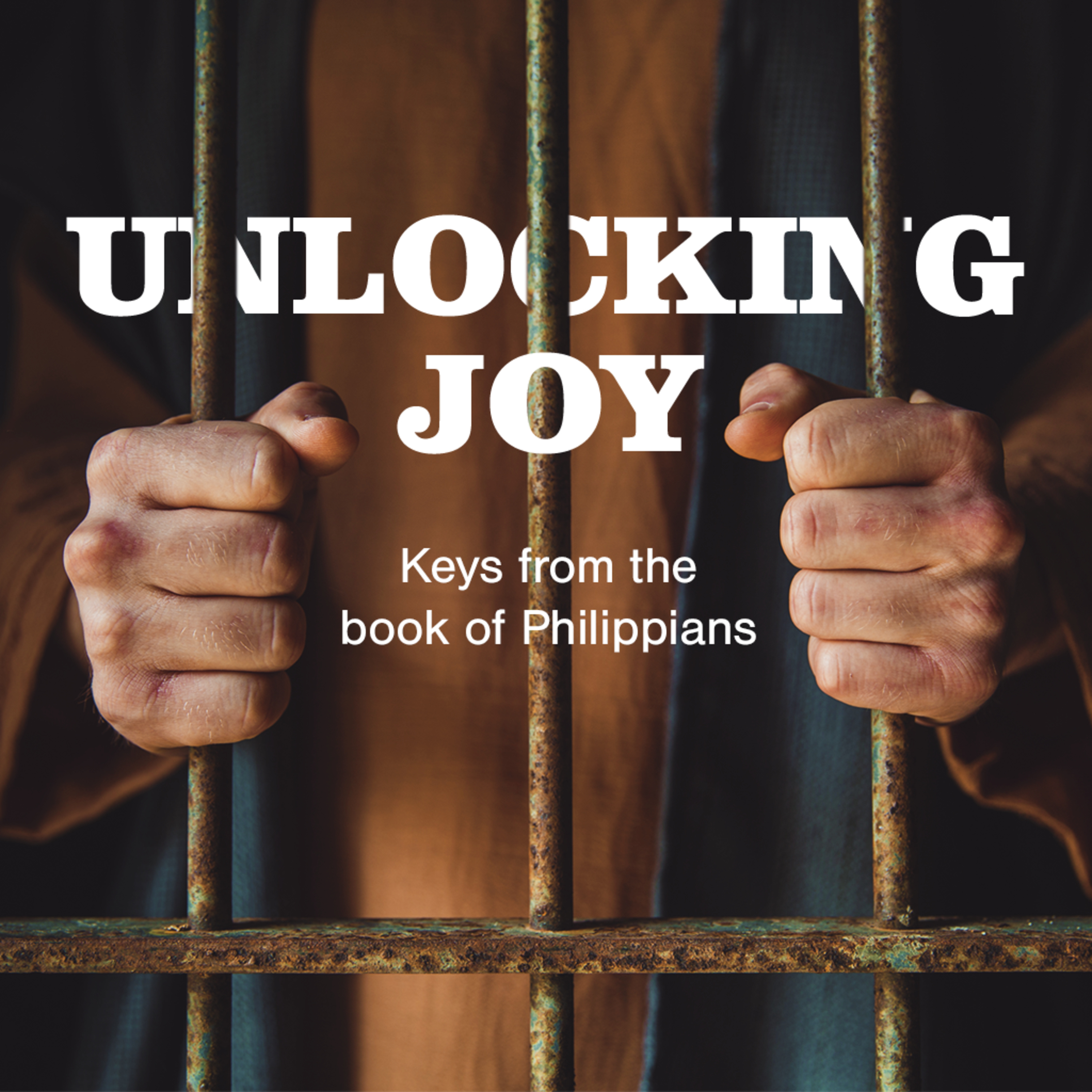 Joy from pursuing purpose episode artwork