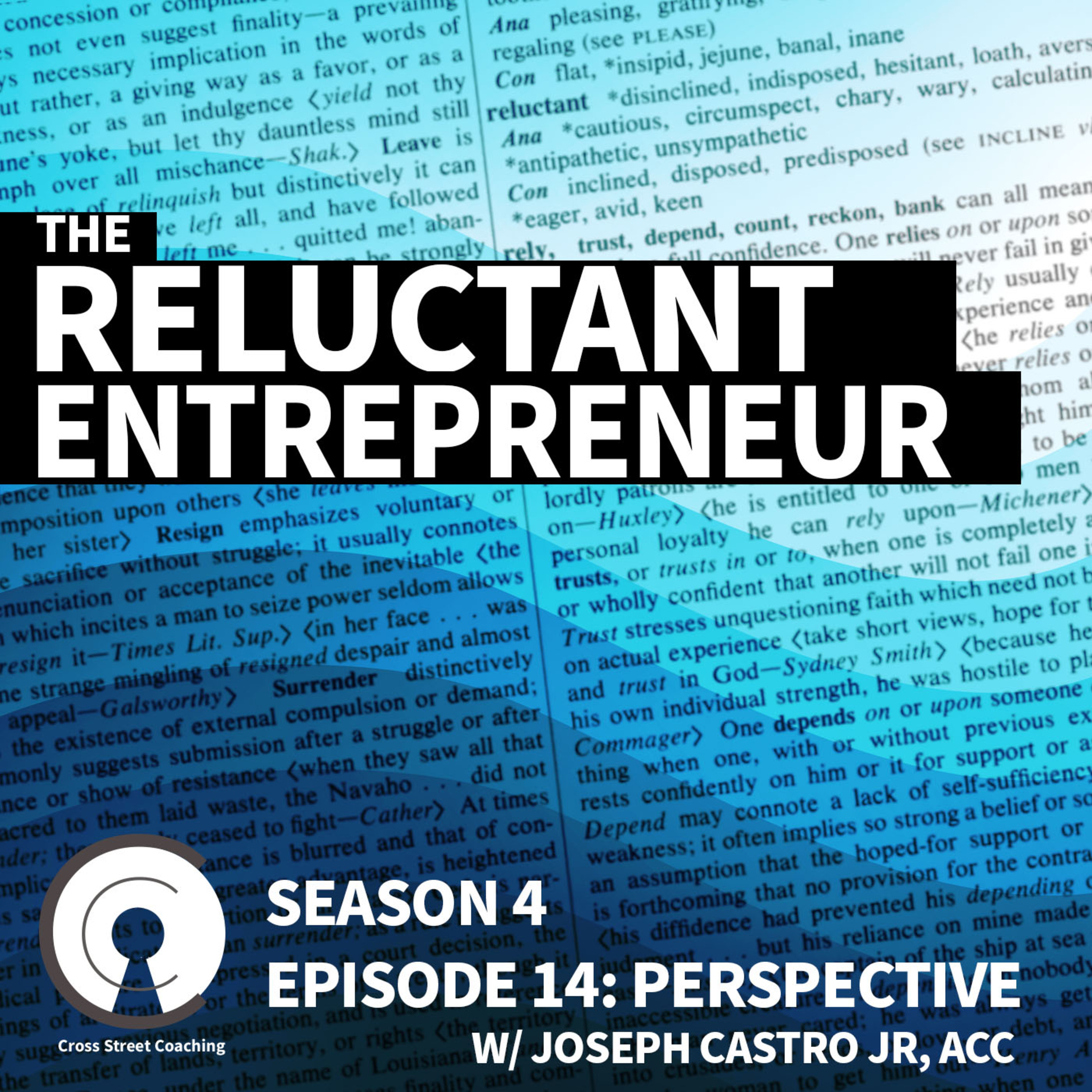 The Reluctant Entrepreneur - Perspective