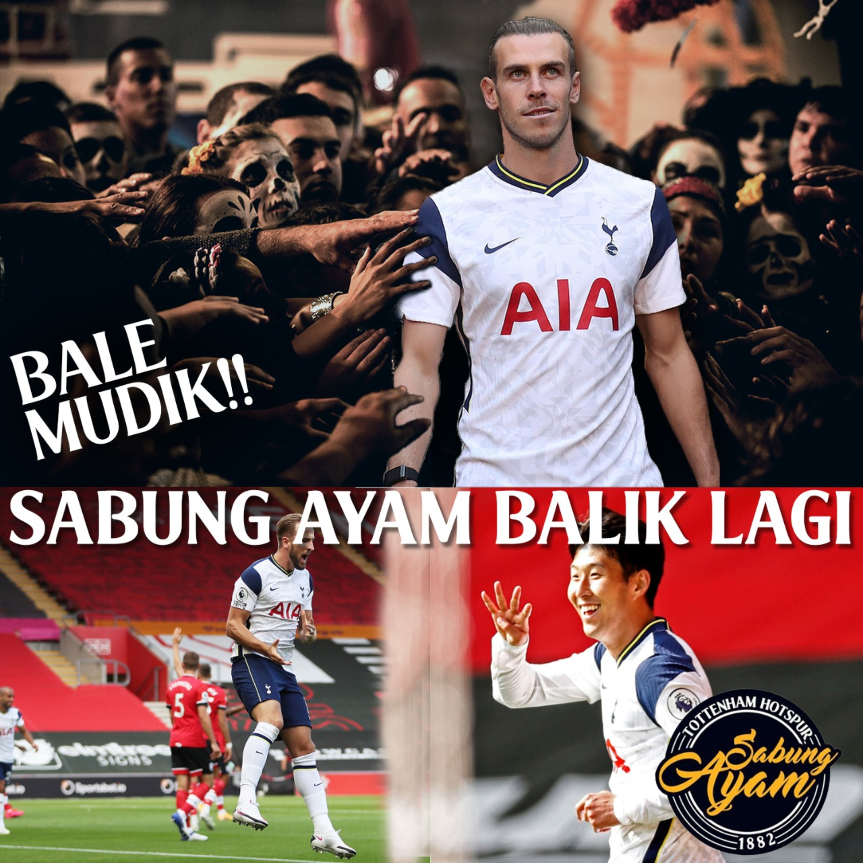 Sabung Ayam