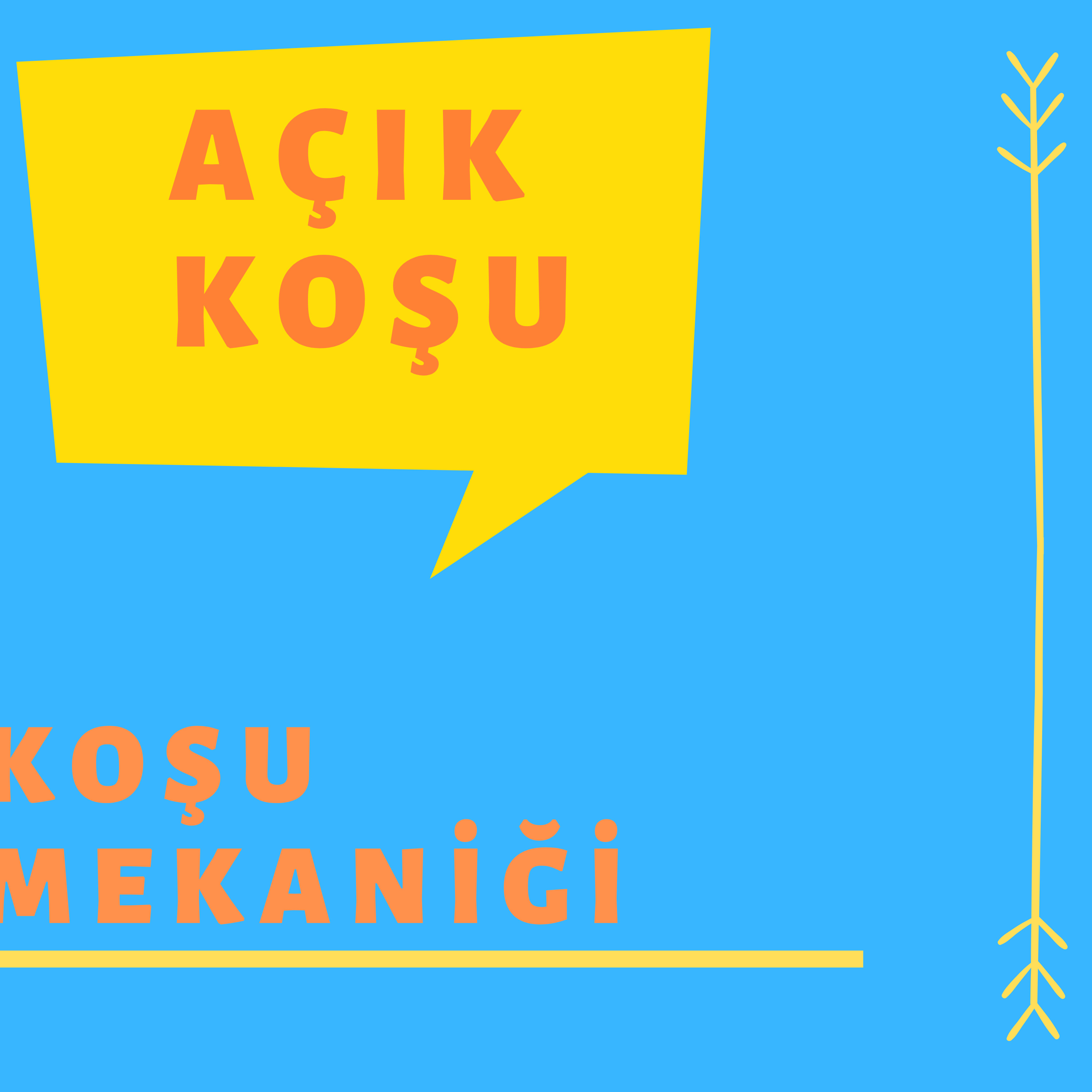 AÇIK KOŞU