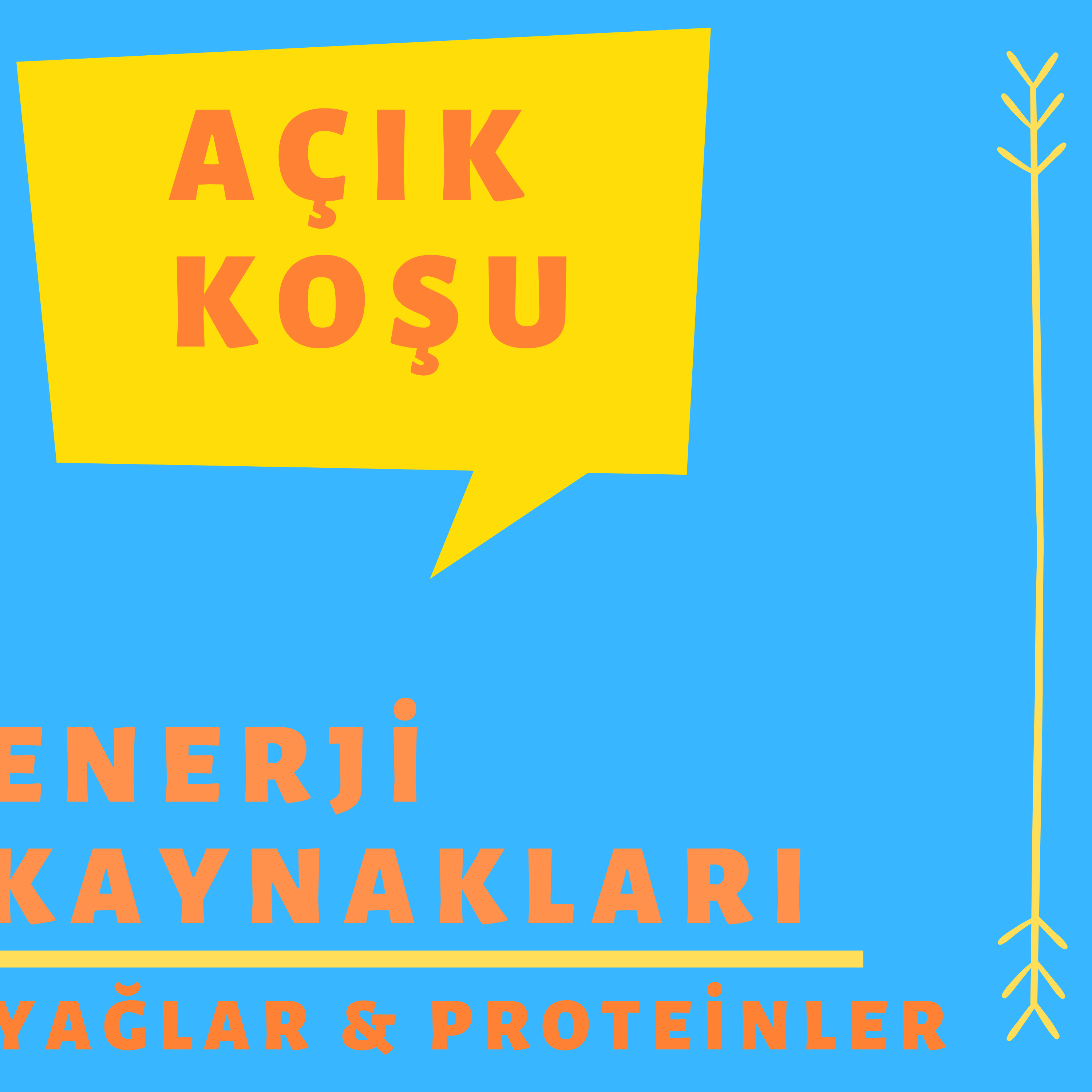 AÇIK KOŞU
