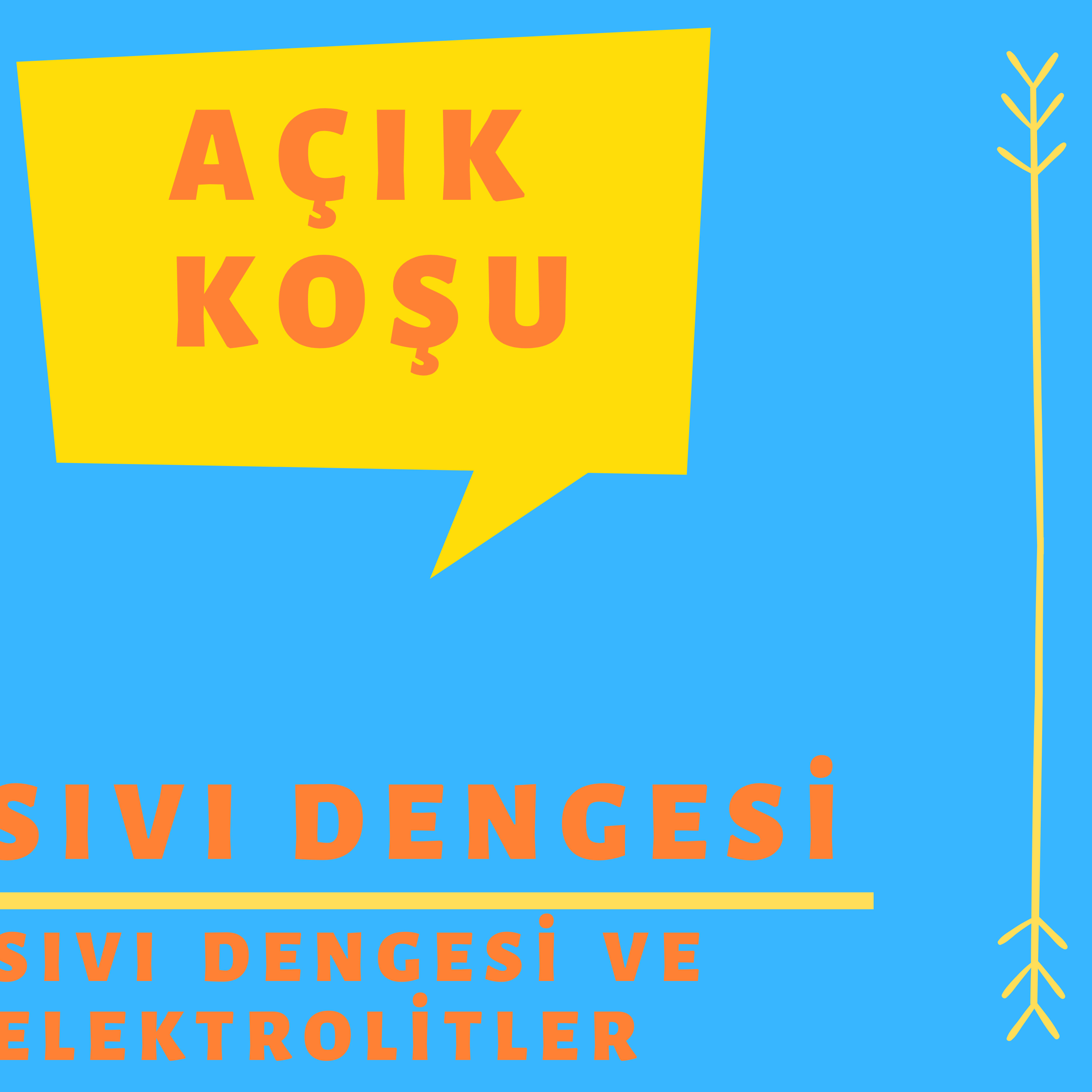 AÇIK KOŞU
