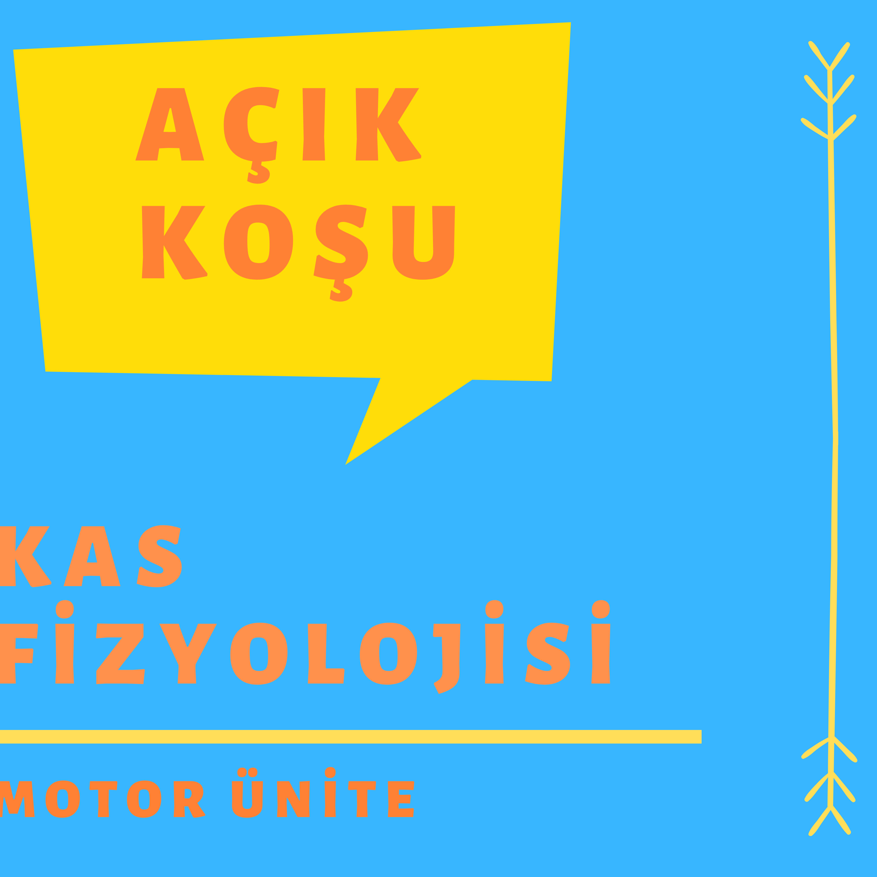 AÇIK KOŞU