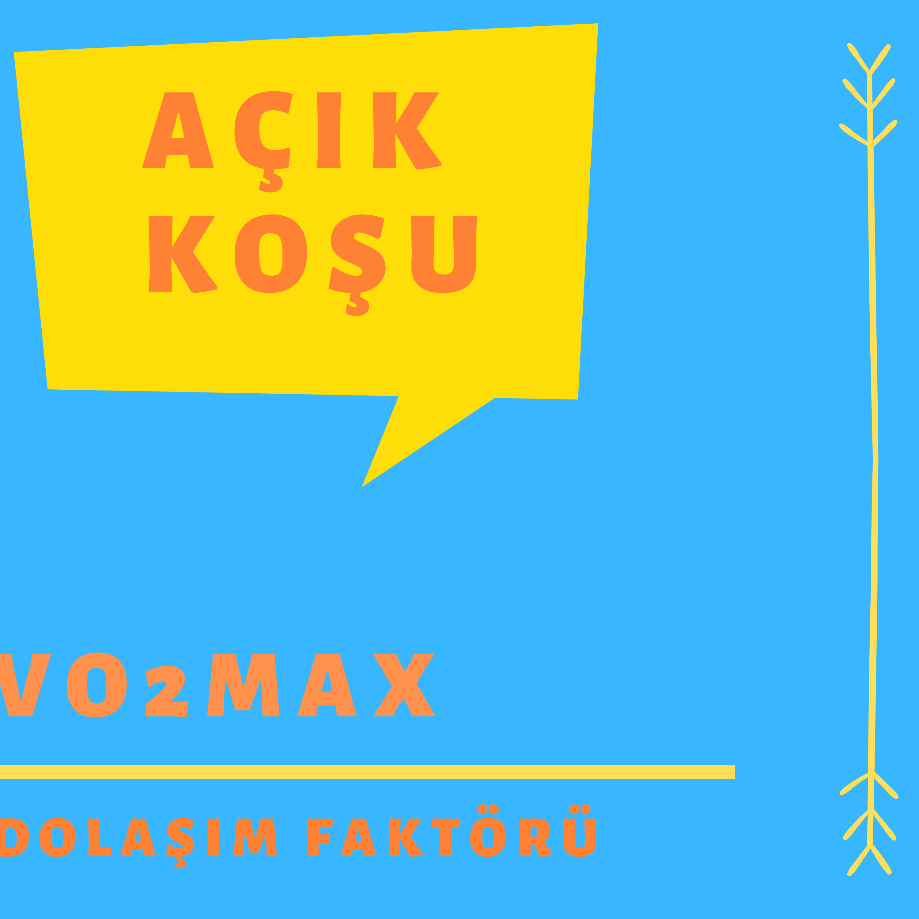 AÇIK KOŞU