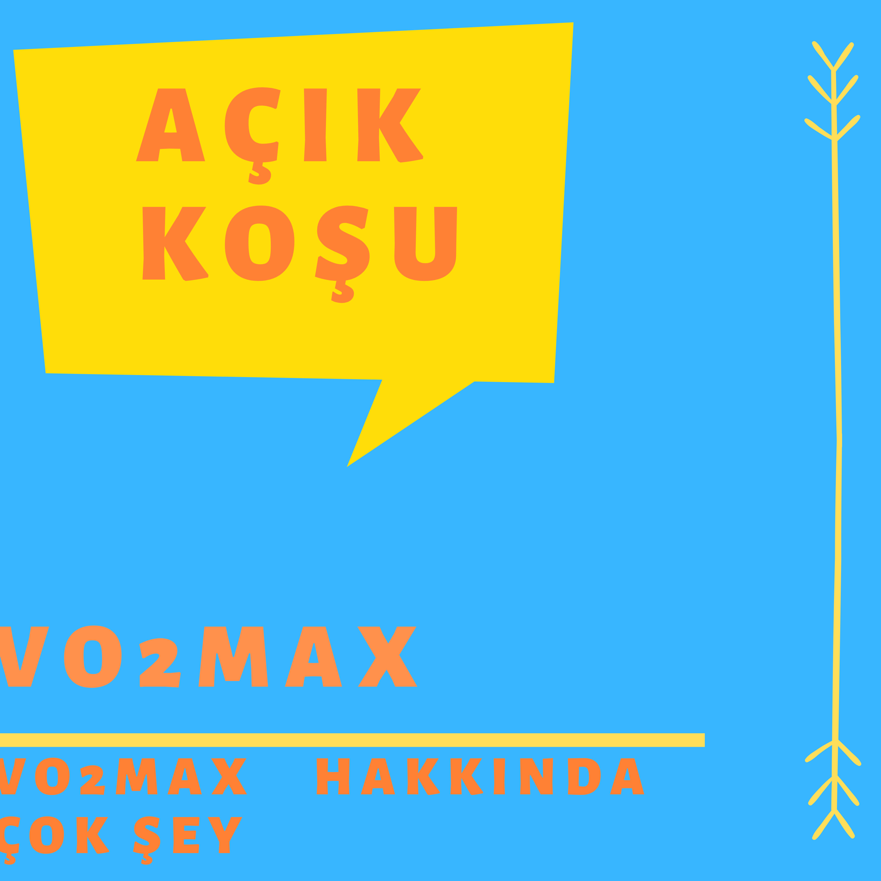AÇIK KOŞU