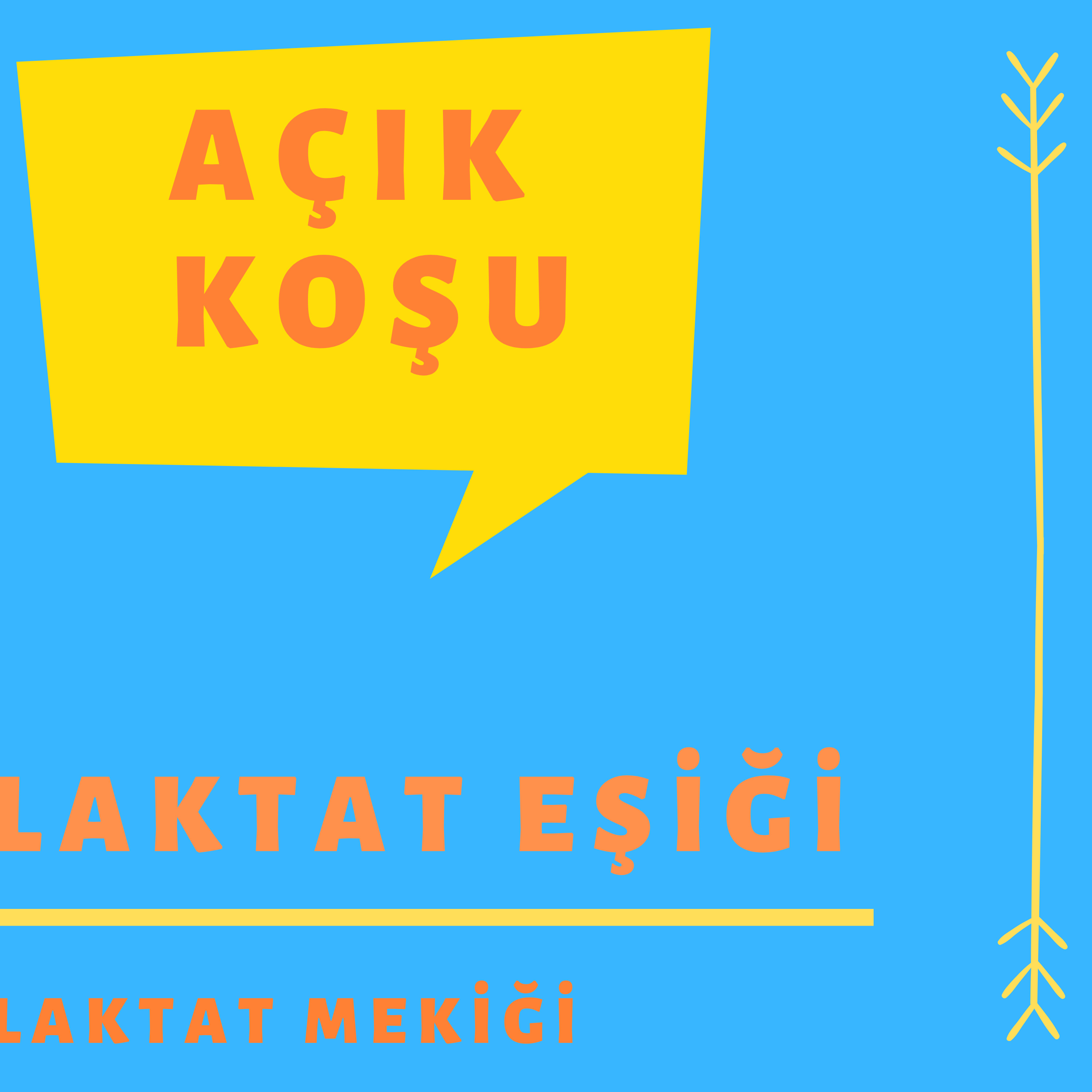 AÇIK KOŞU