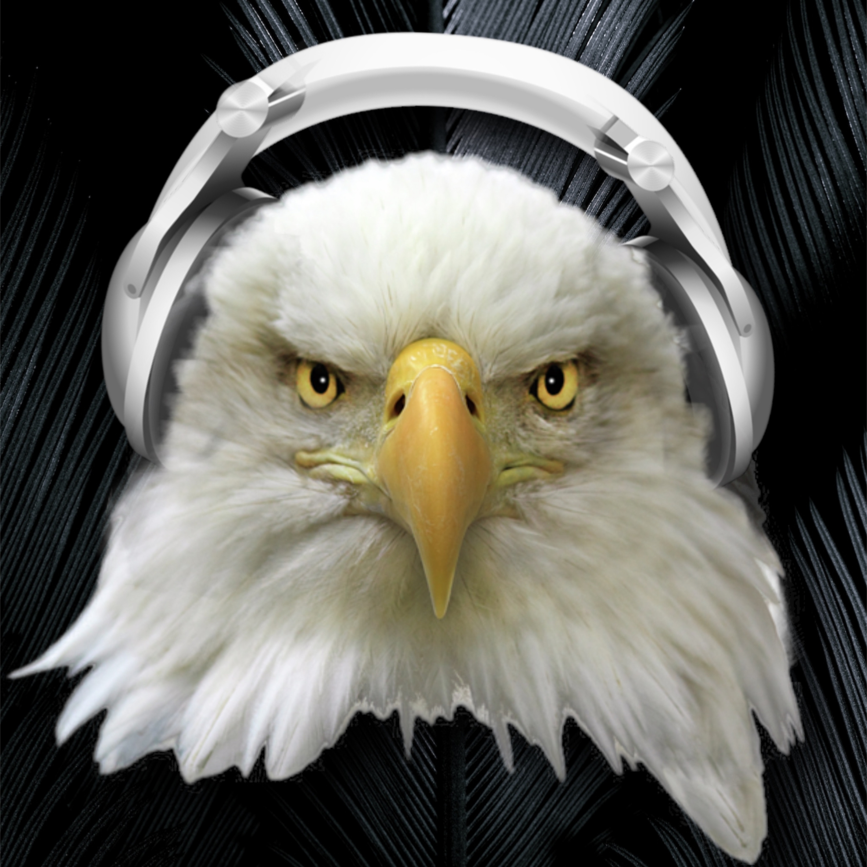 exploring the world through chatGPT