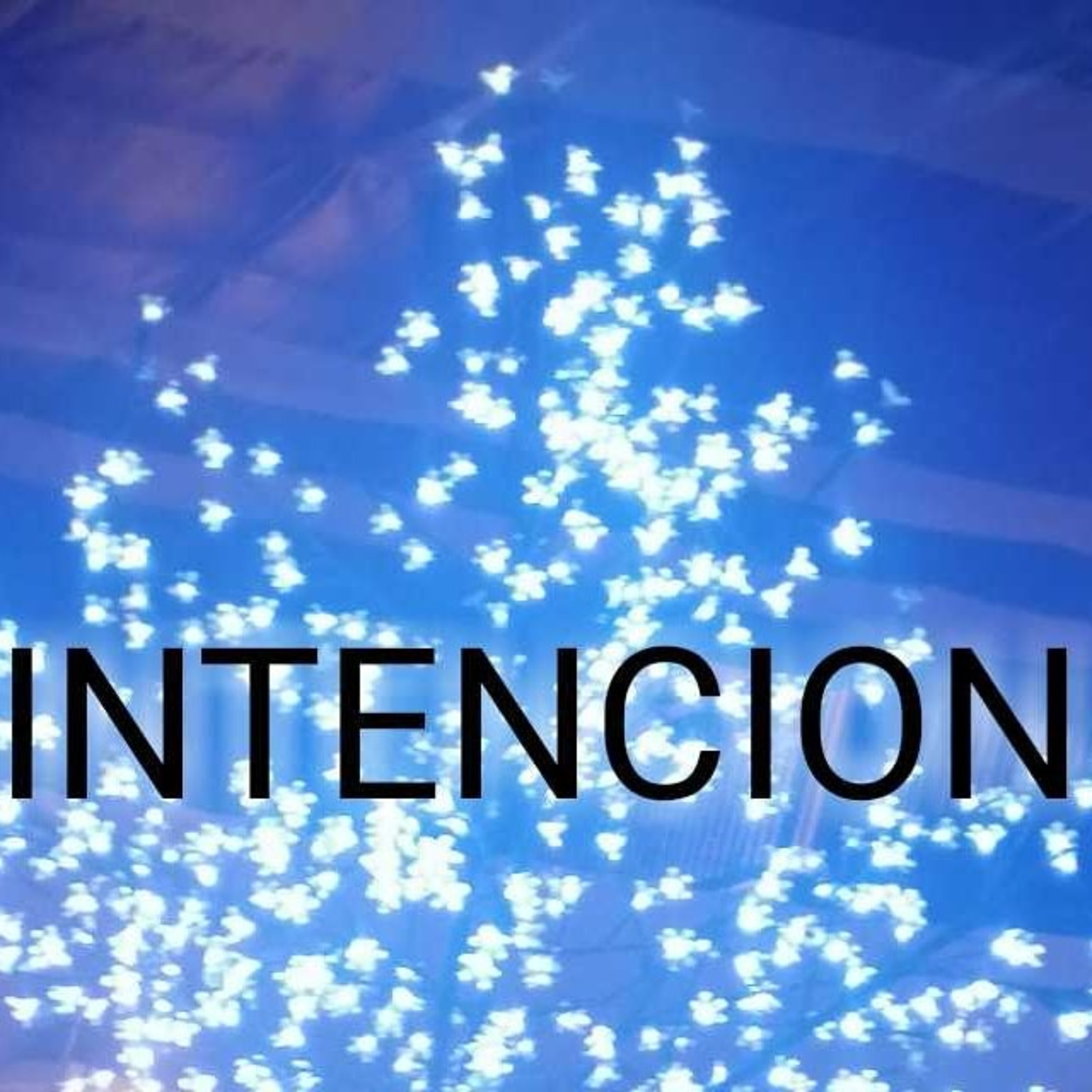 Yoga Del Poder Interno / Inner Power Yoga