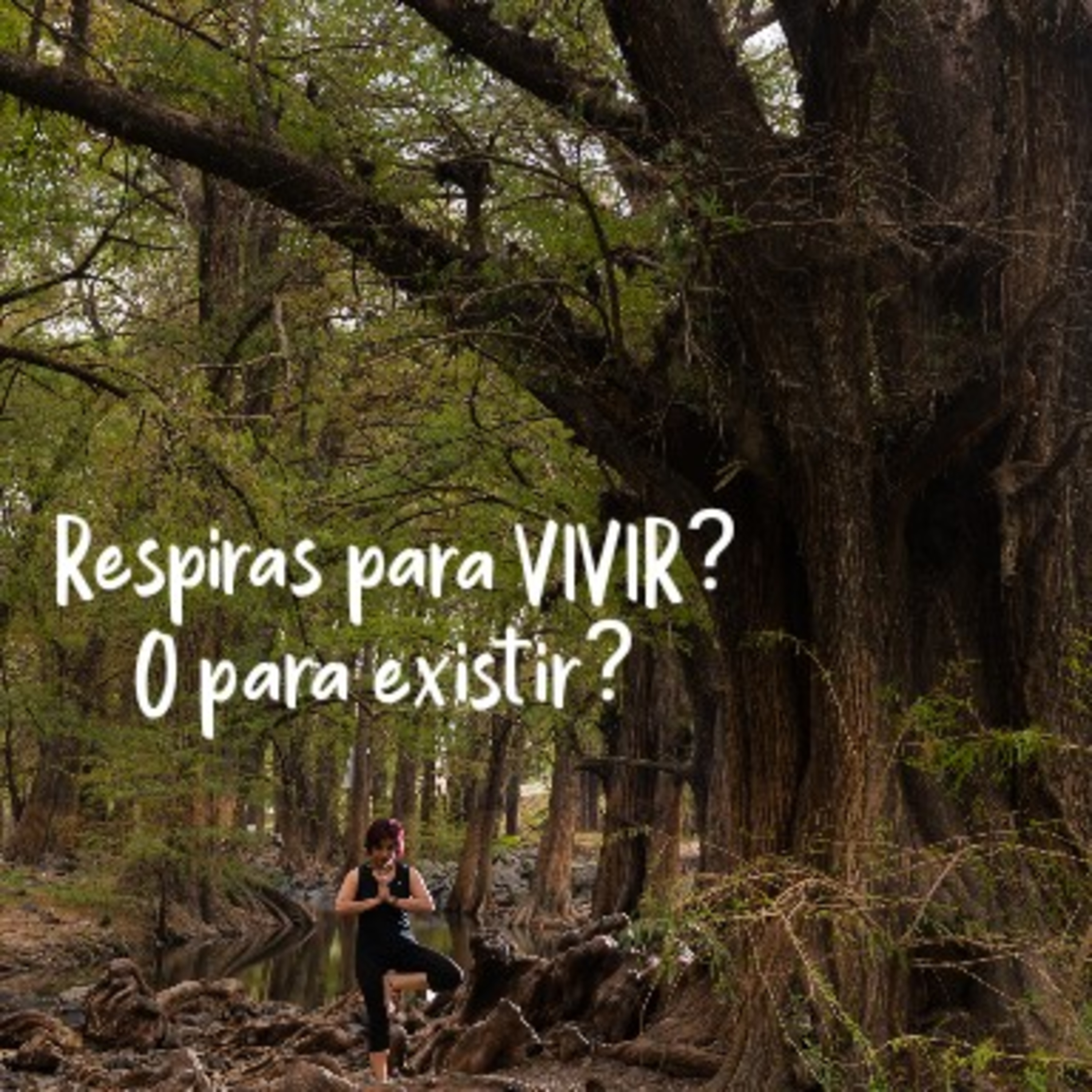 Yoga Del Poder Interno / Inner Power Yoga