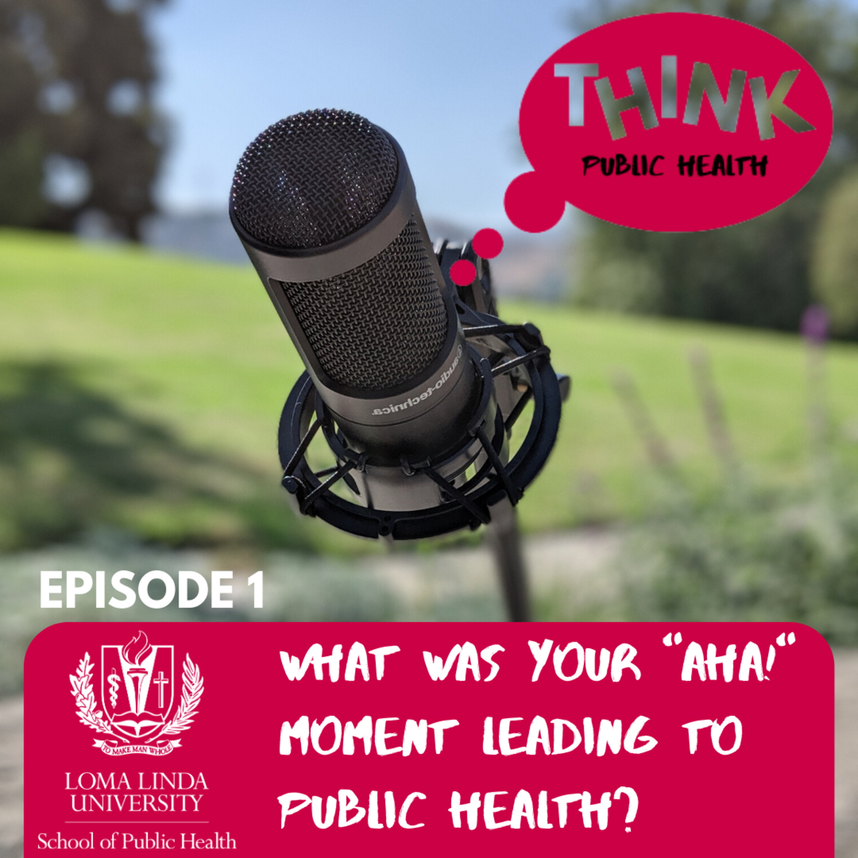 Think Public Health