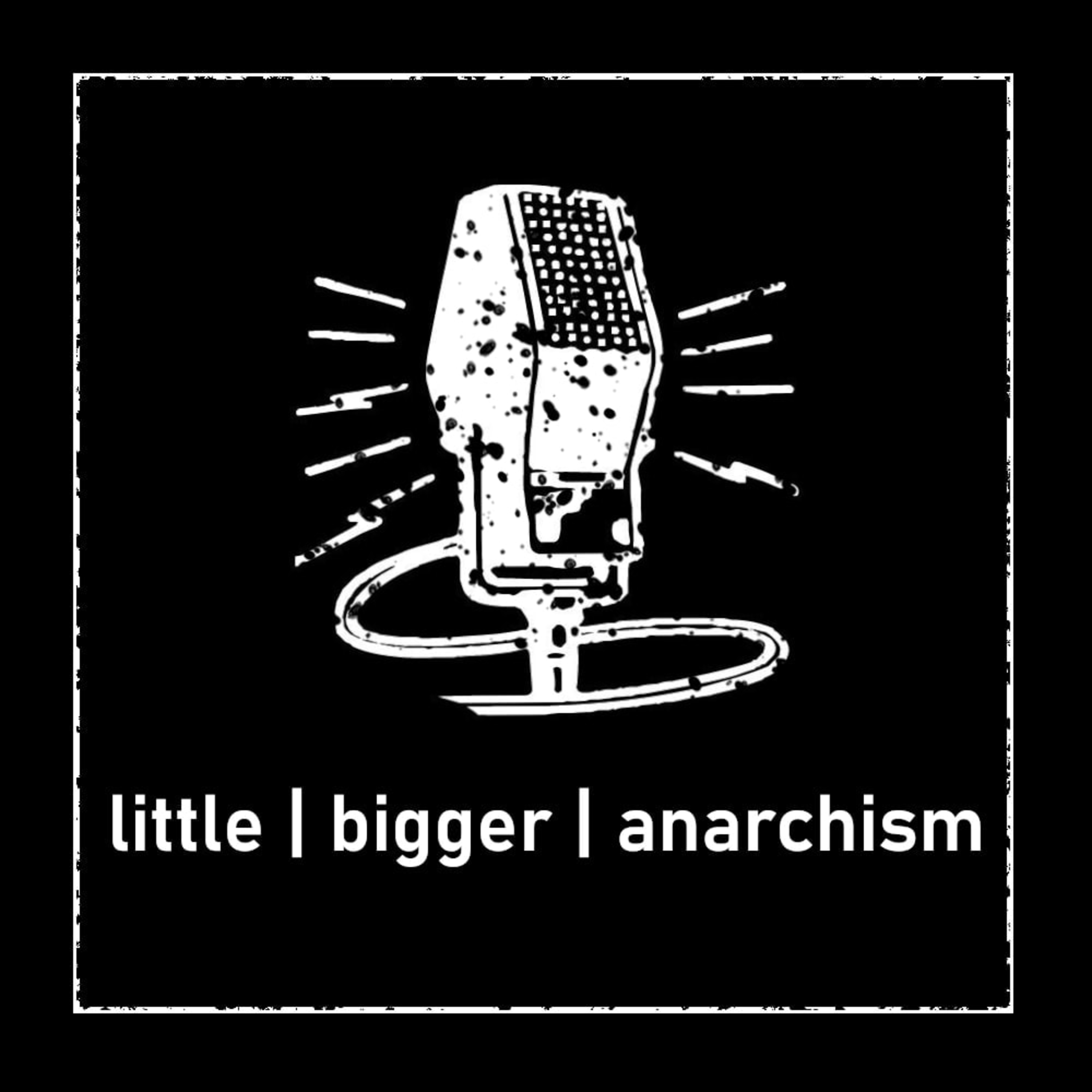 Mutual Aid and Disaster Anarchy with Rhiannon Firth + the UK Strikes - December 2022 episode artwork