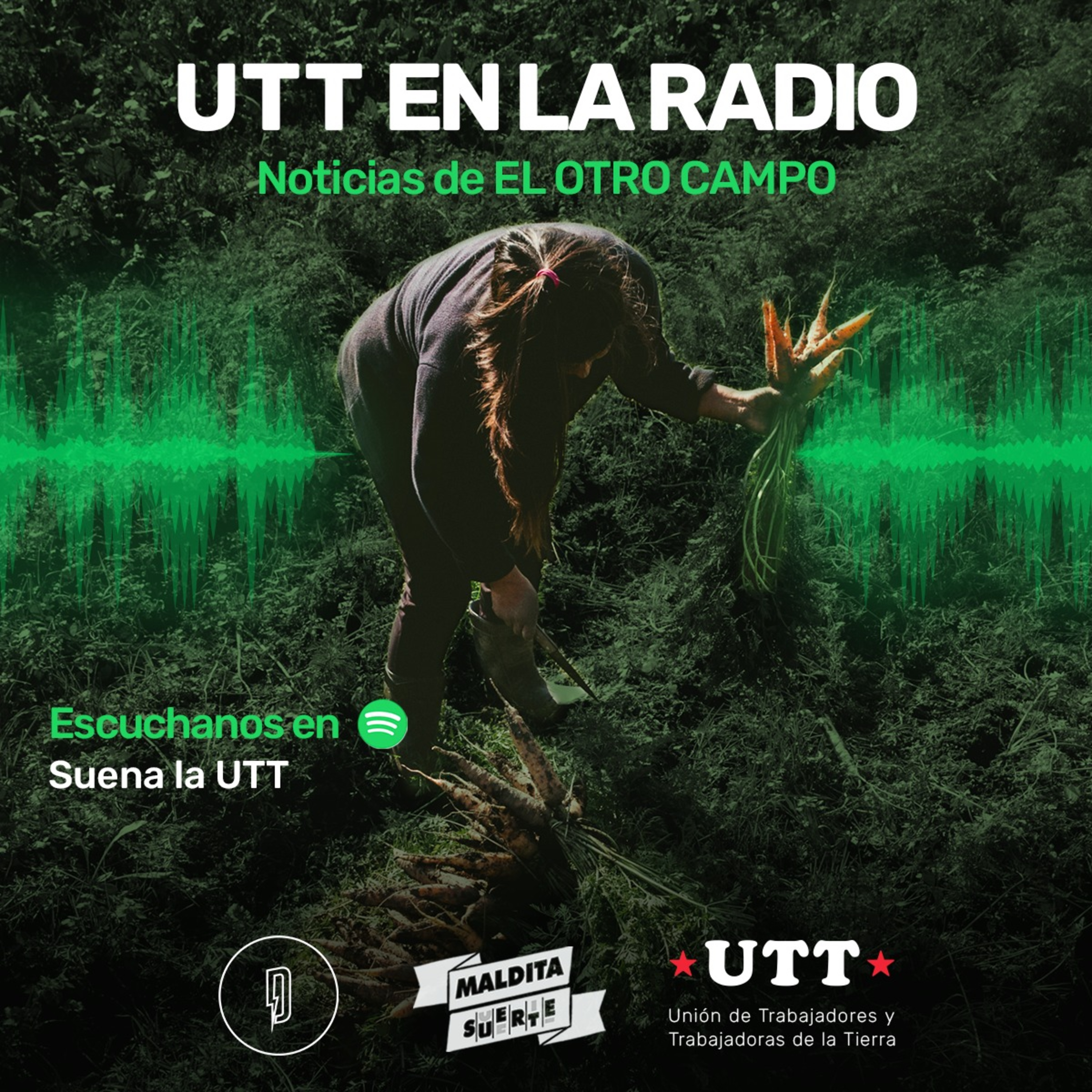 El otro campo 01-12 episode artwork
