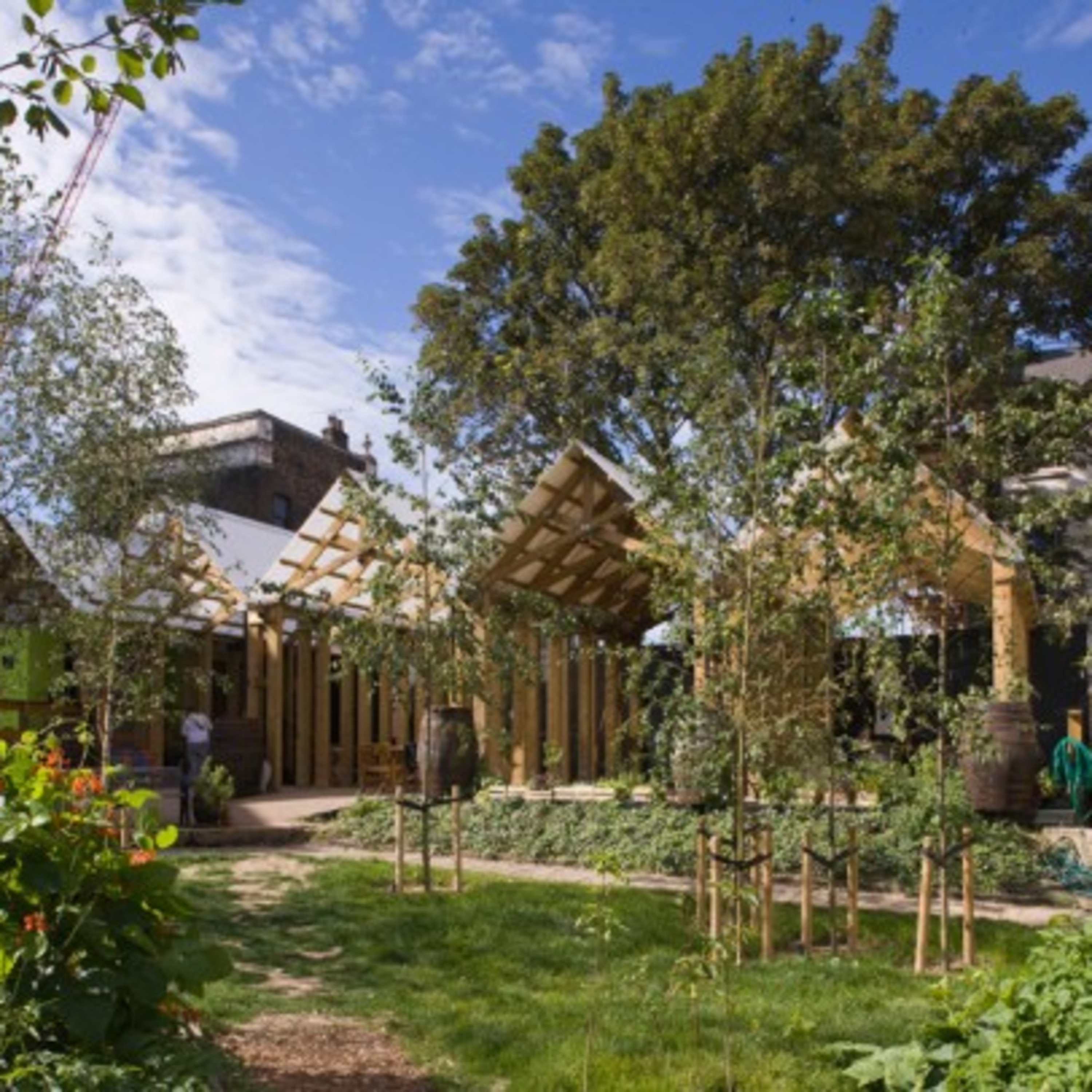 Otro argentino en Madrid se muda a Londres: Ale Lingenti desde el Dalston Curve Garden episode artwork