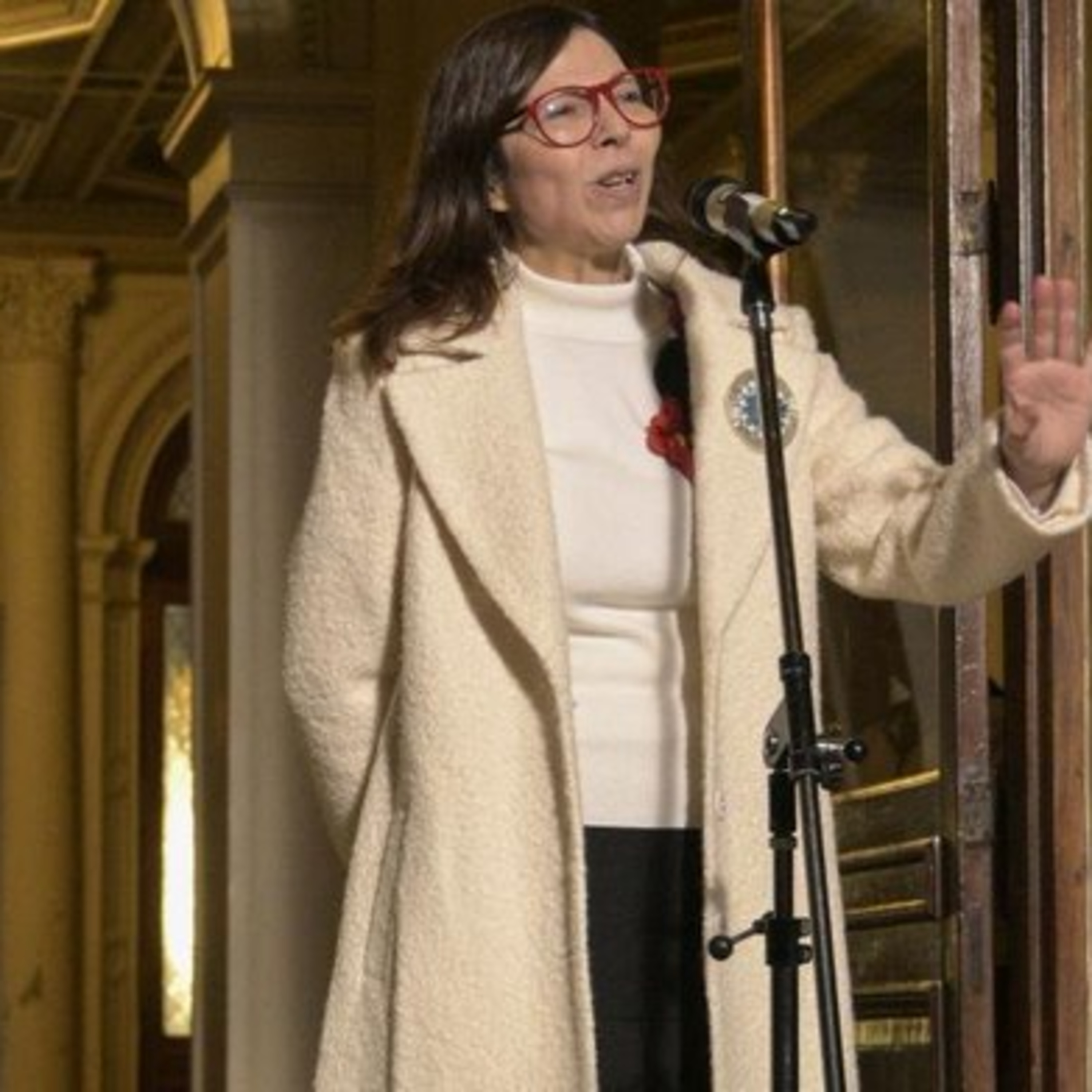Primeras definiciones de Silvina Batakis como ministra de Economía episode artwork