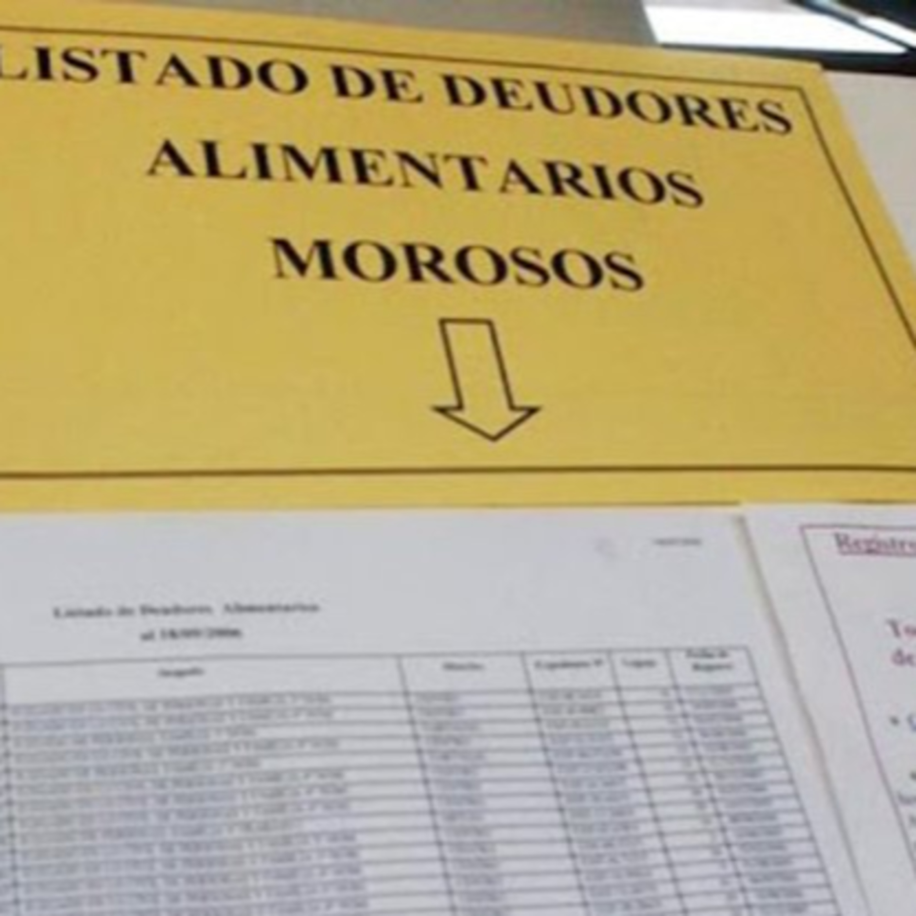 Diputados aprobó el proyecto para crear un registro nacional de deudores alimentarios morosos episode artwork