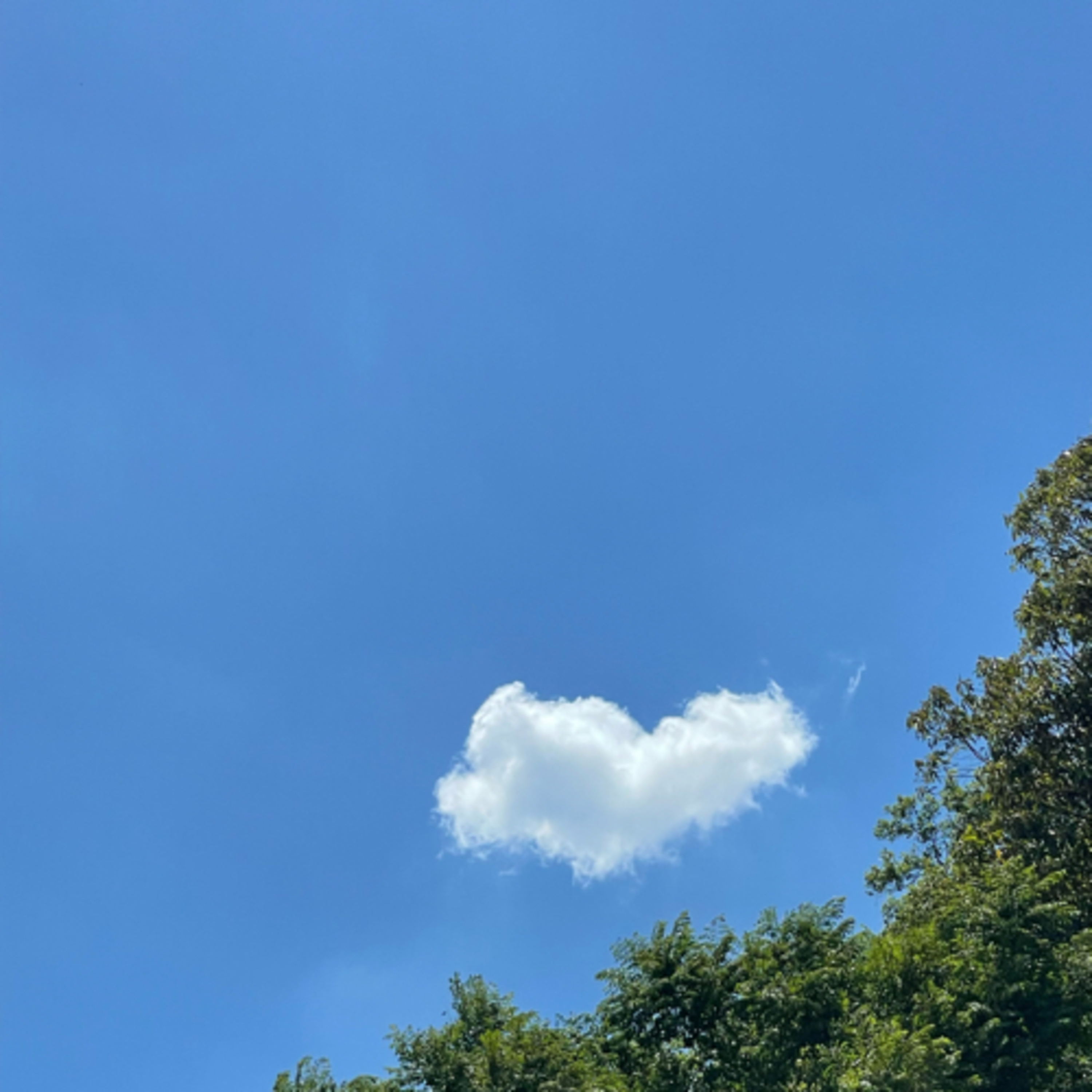simples como as nuvens