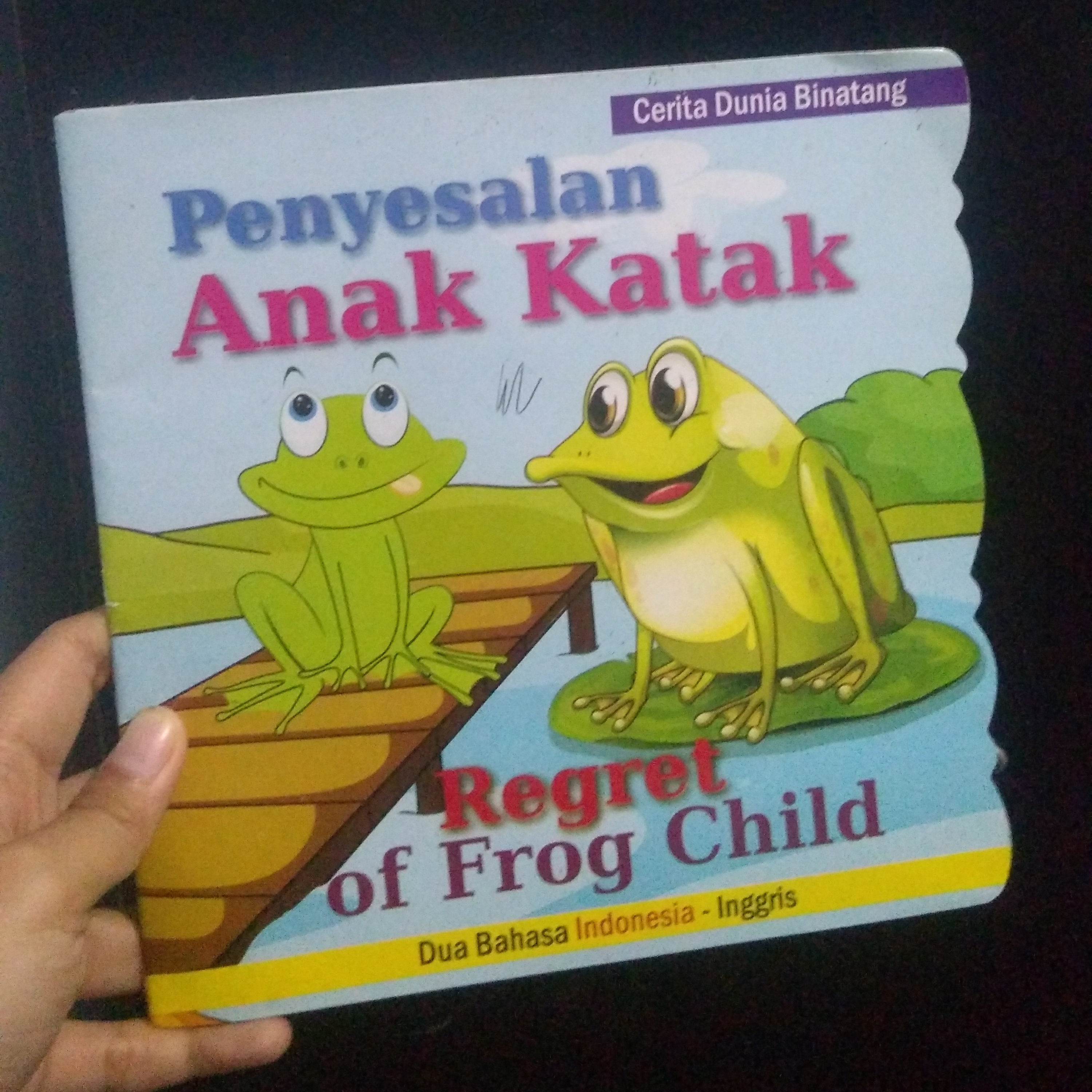 Regret of frog child episode artwork