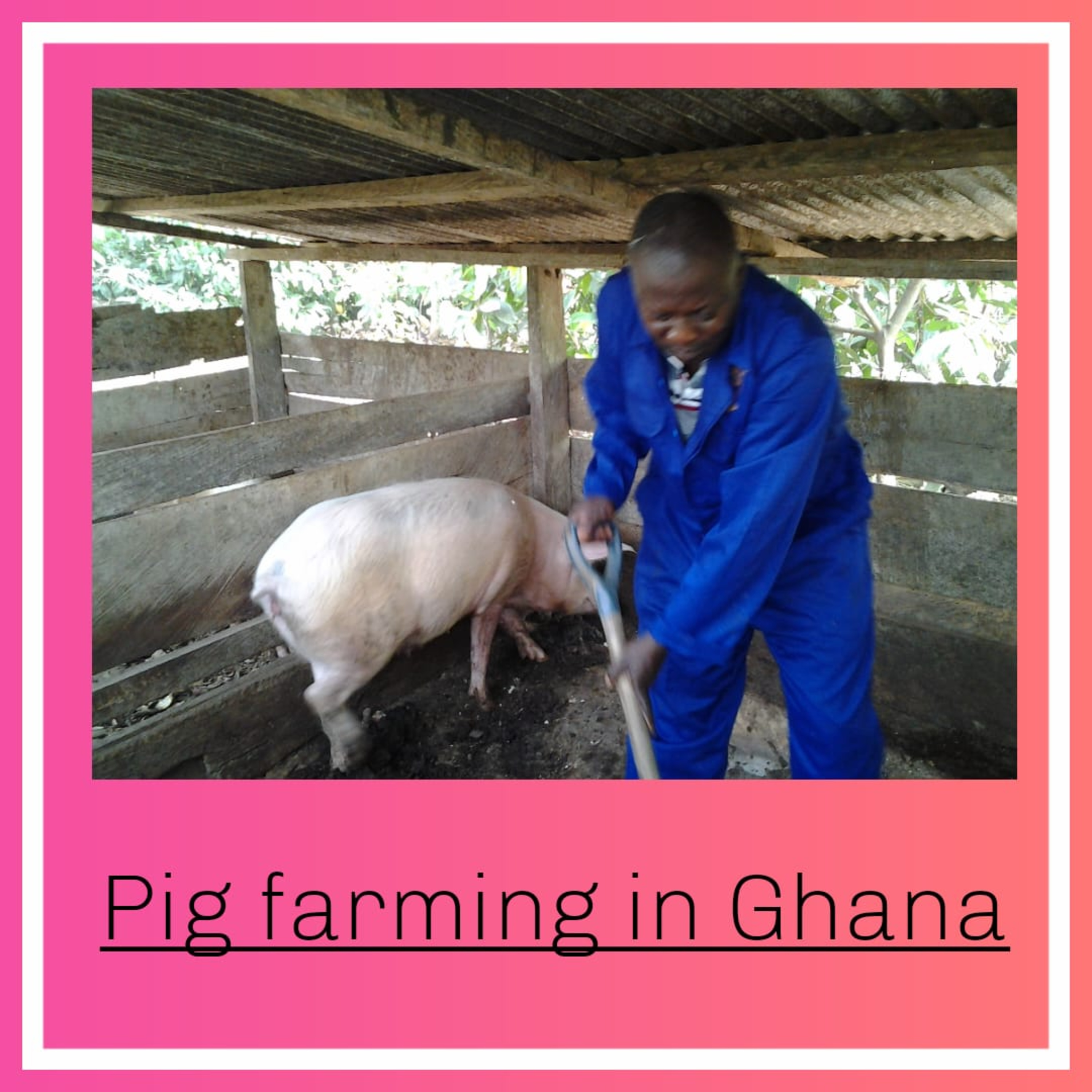 Africa Investor Stories