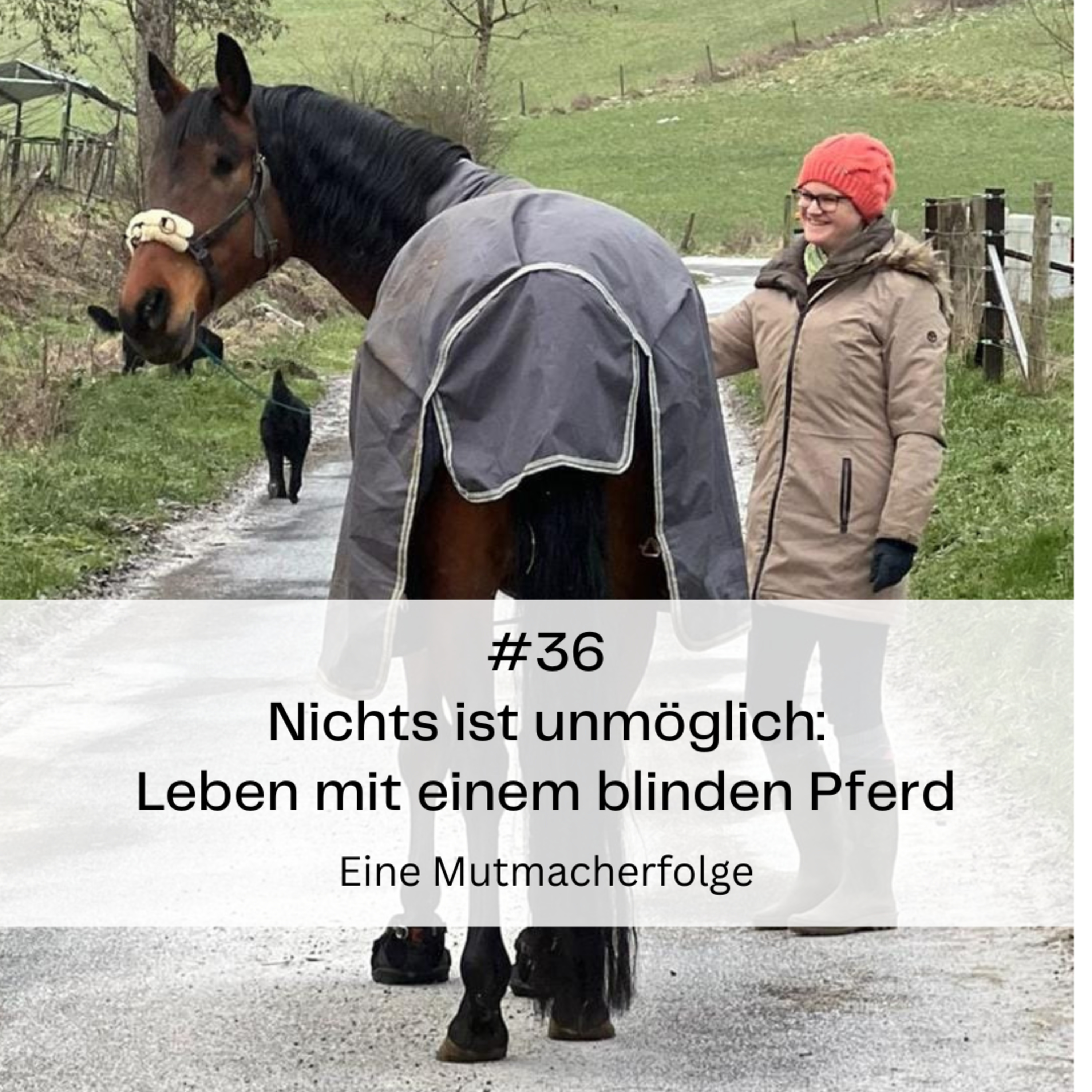 Kompetenz-Zirkel Pferd