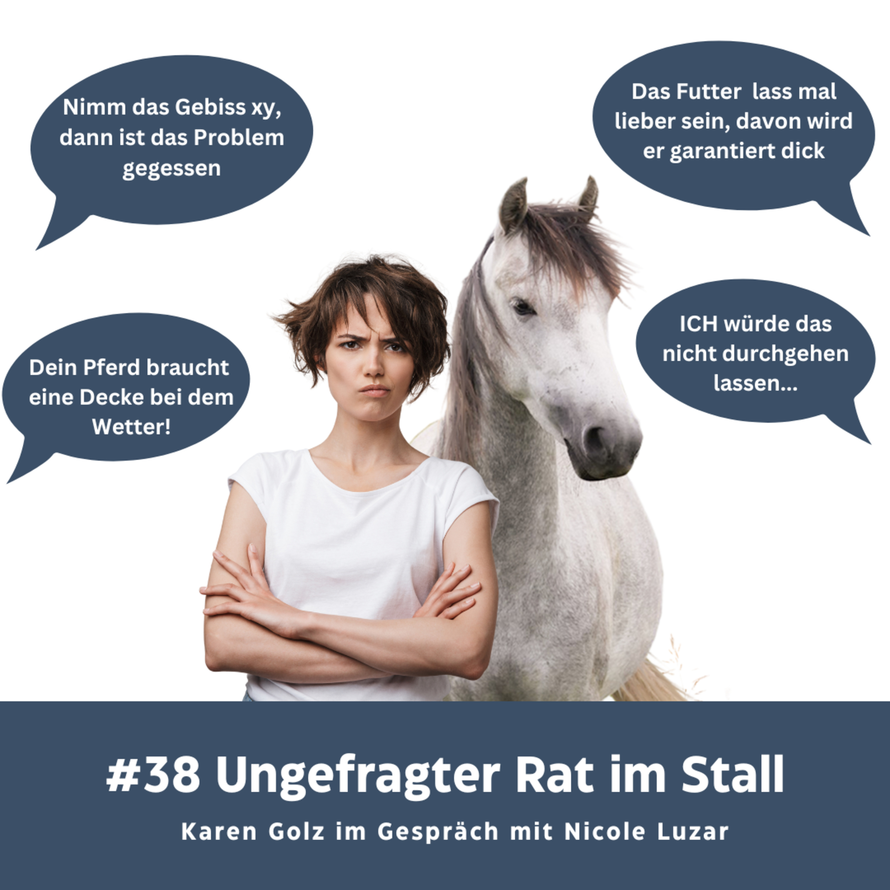 Kompetenz-Zirkel Pferd