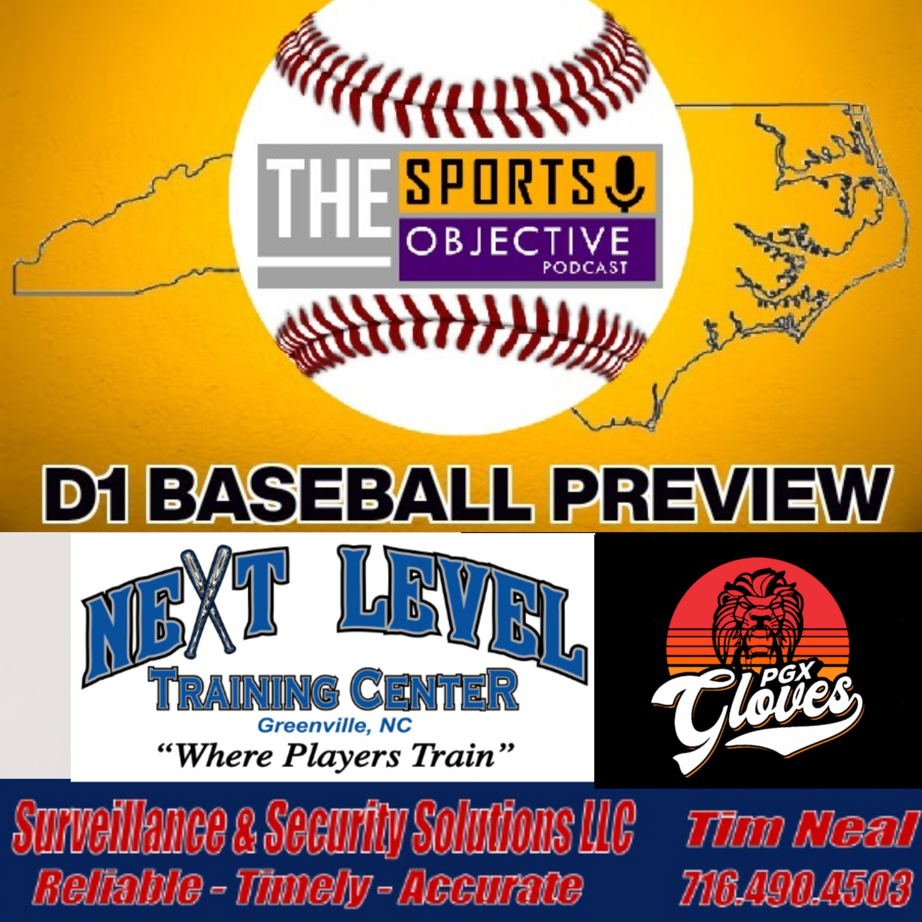 NC D1 BASEBALL PREVIEW: Elon, NC A&T, UNC Asheville, UNCG & Davidson  episode artwork