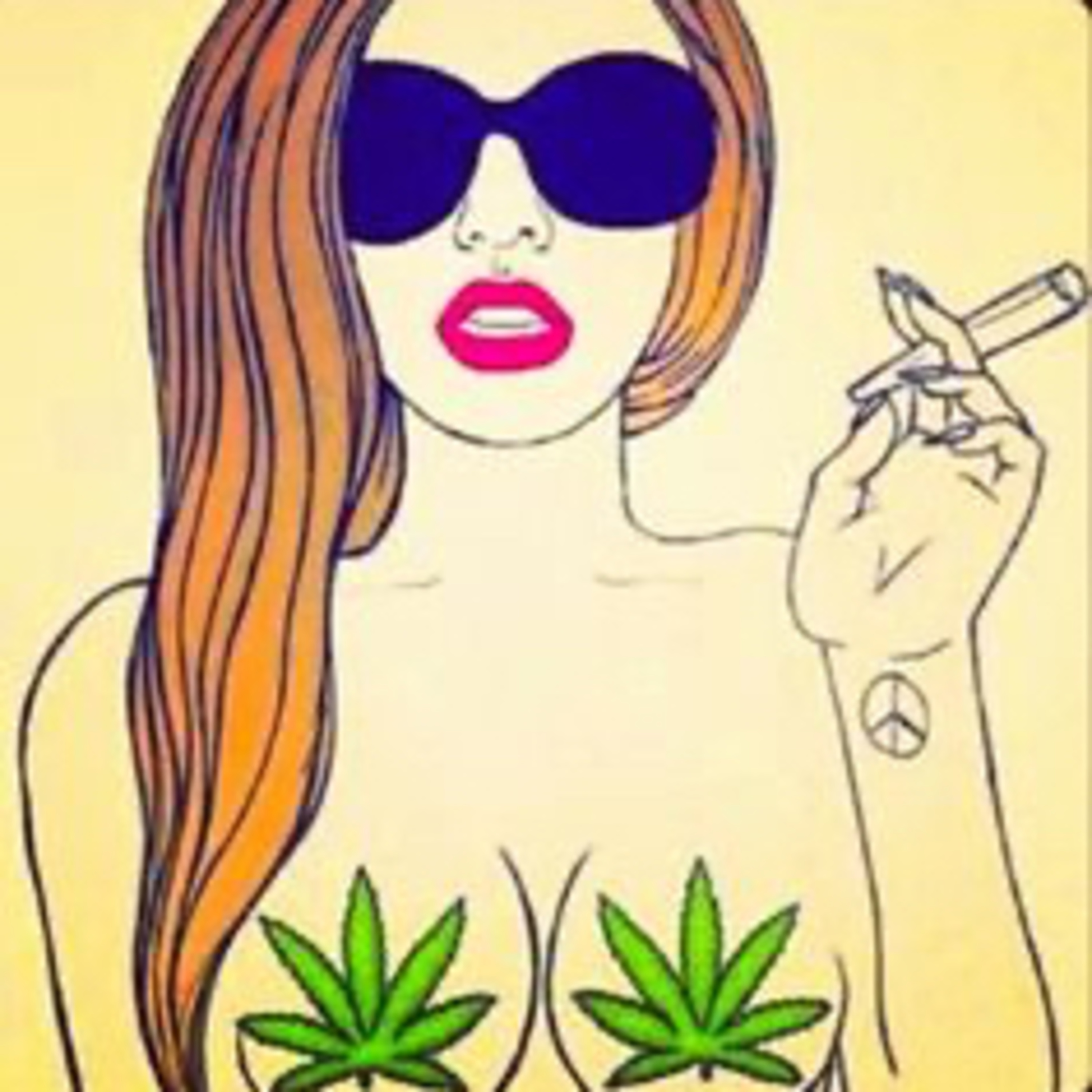 Weed & Seed community  episode artwork