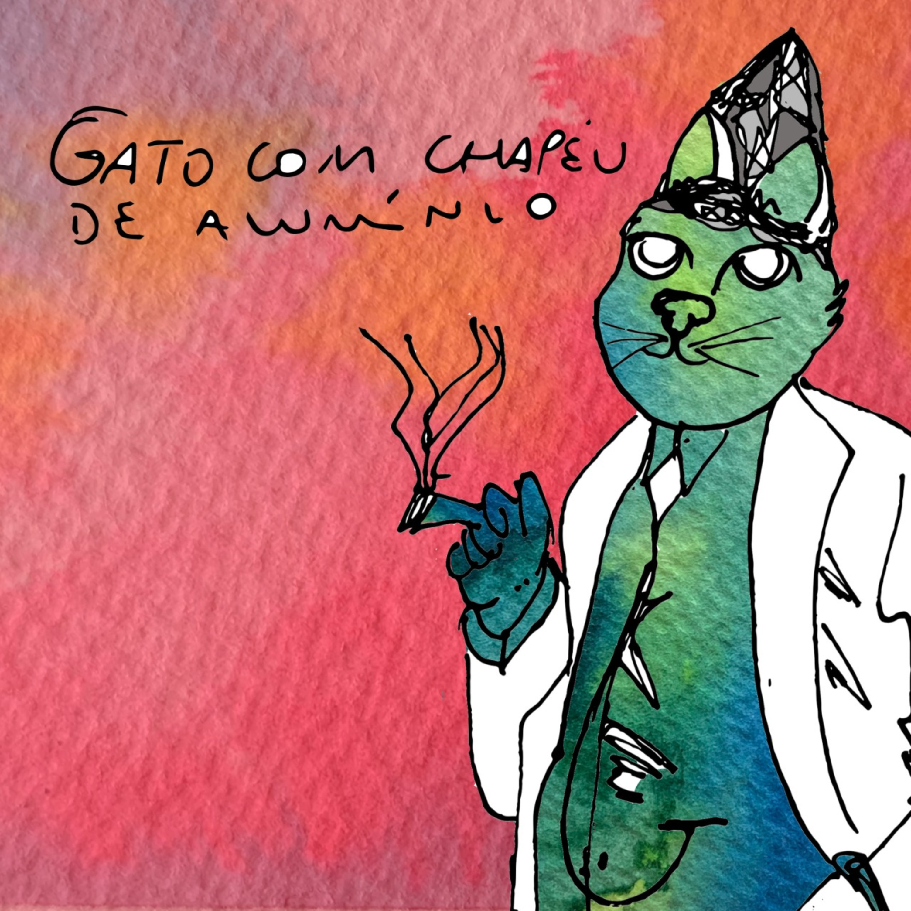 Gato com Chapéu de Alumínio
