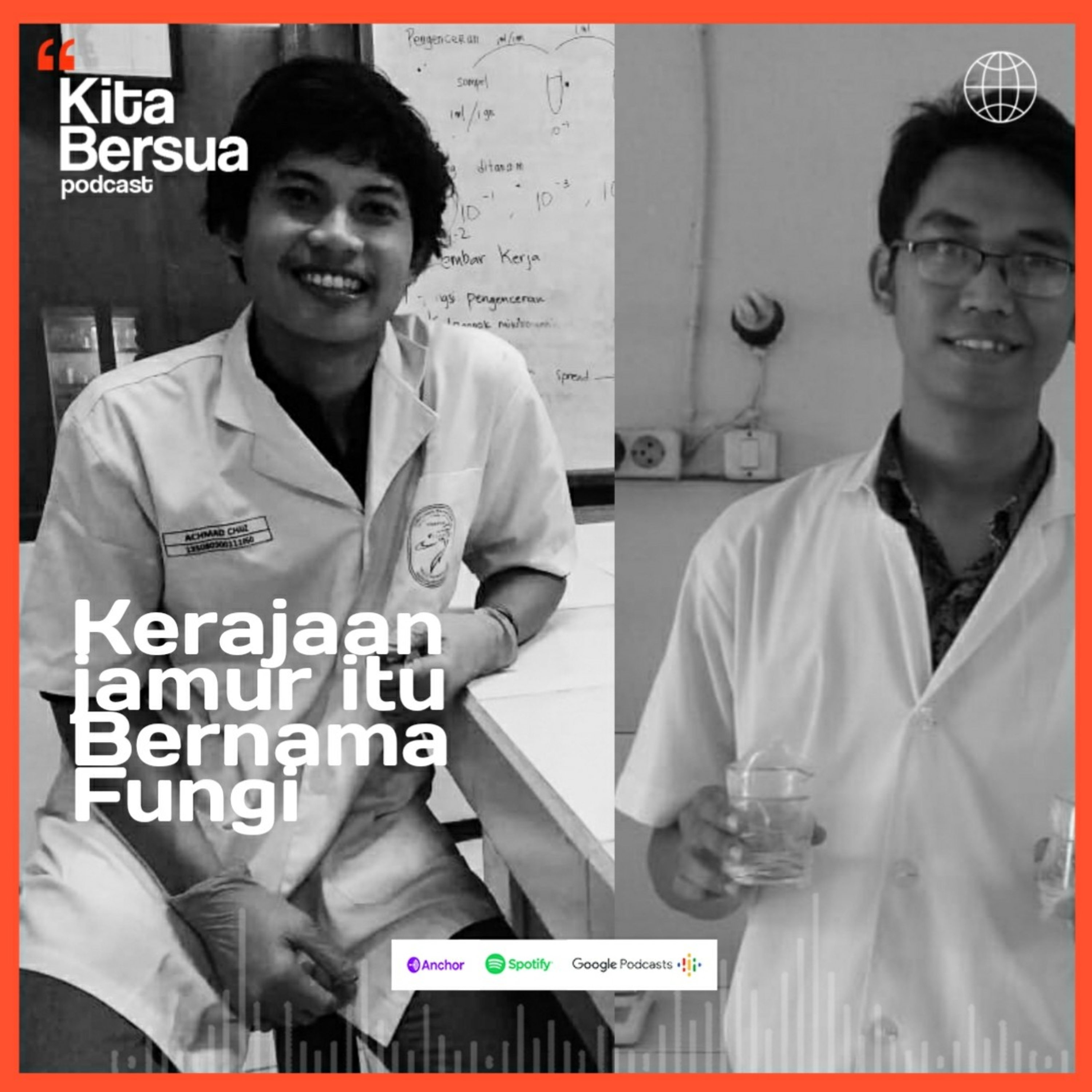 Kitabersua