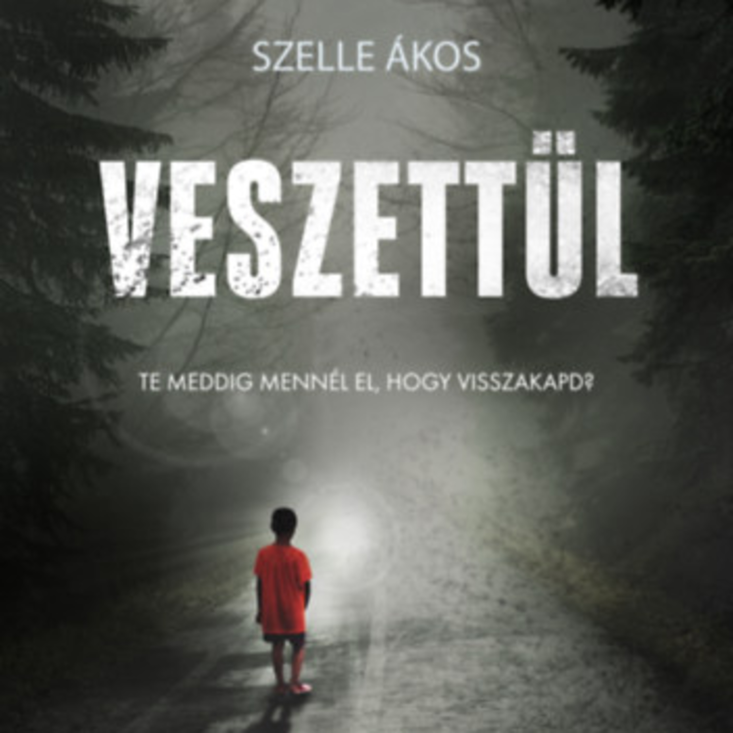 Veszettül - Szelle Ákos episode artwork