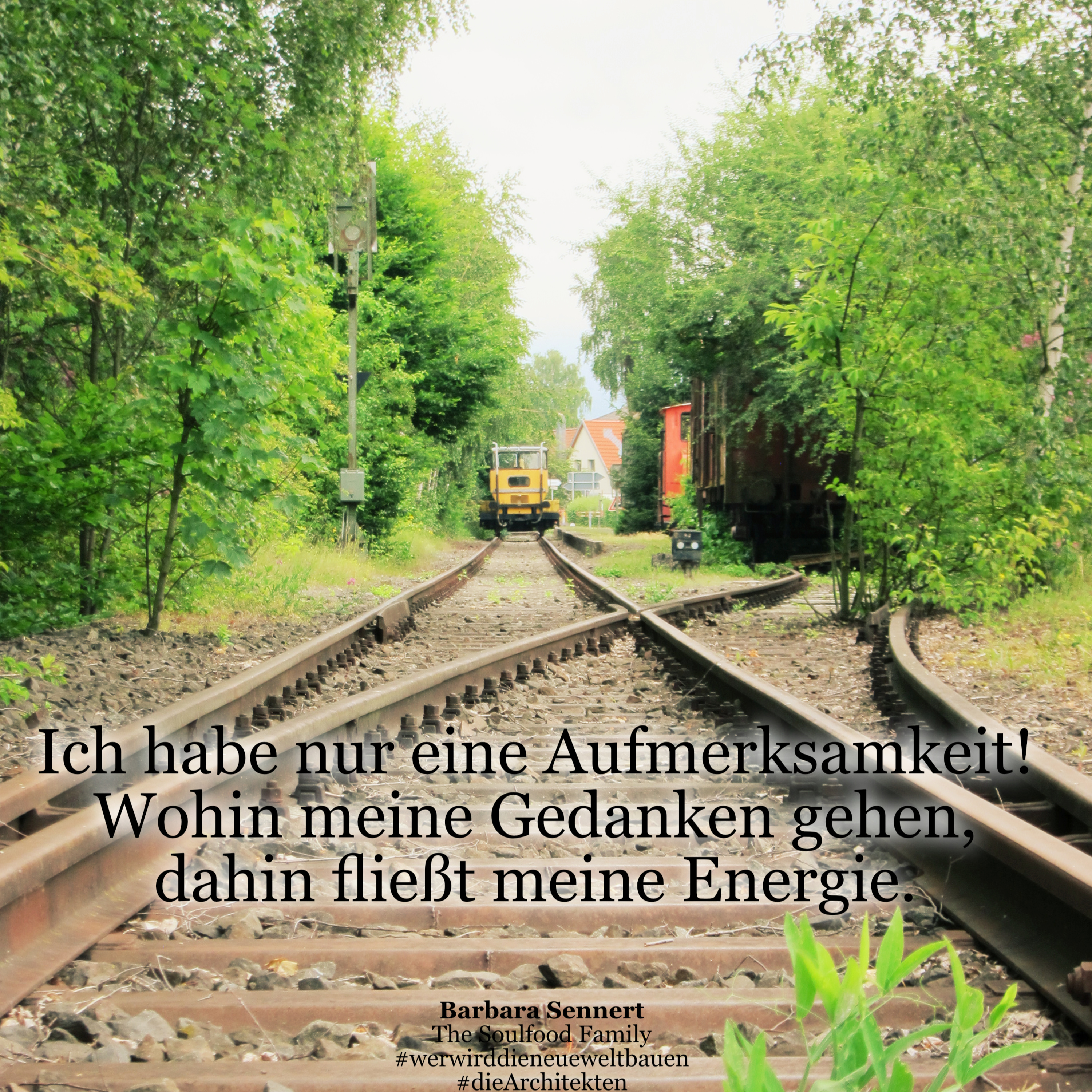 Her mit dem schönen Leben!