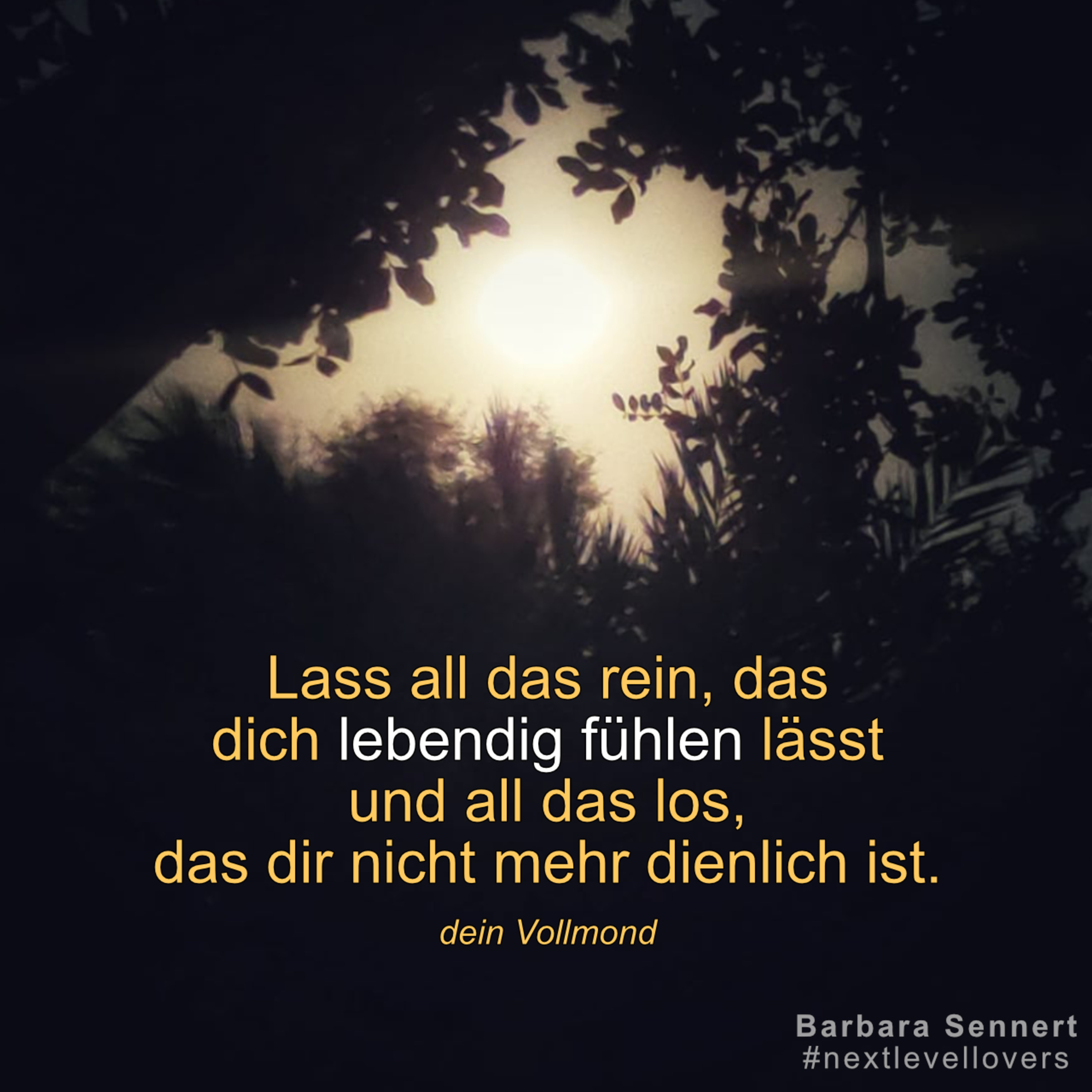 Her mit dem schönen Leben!