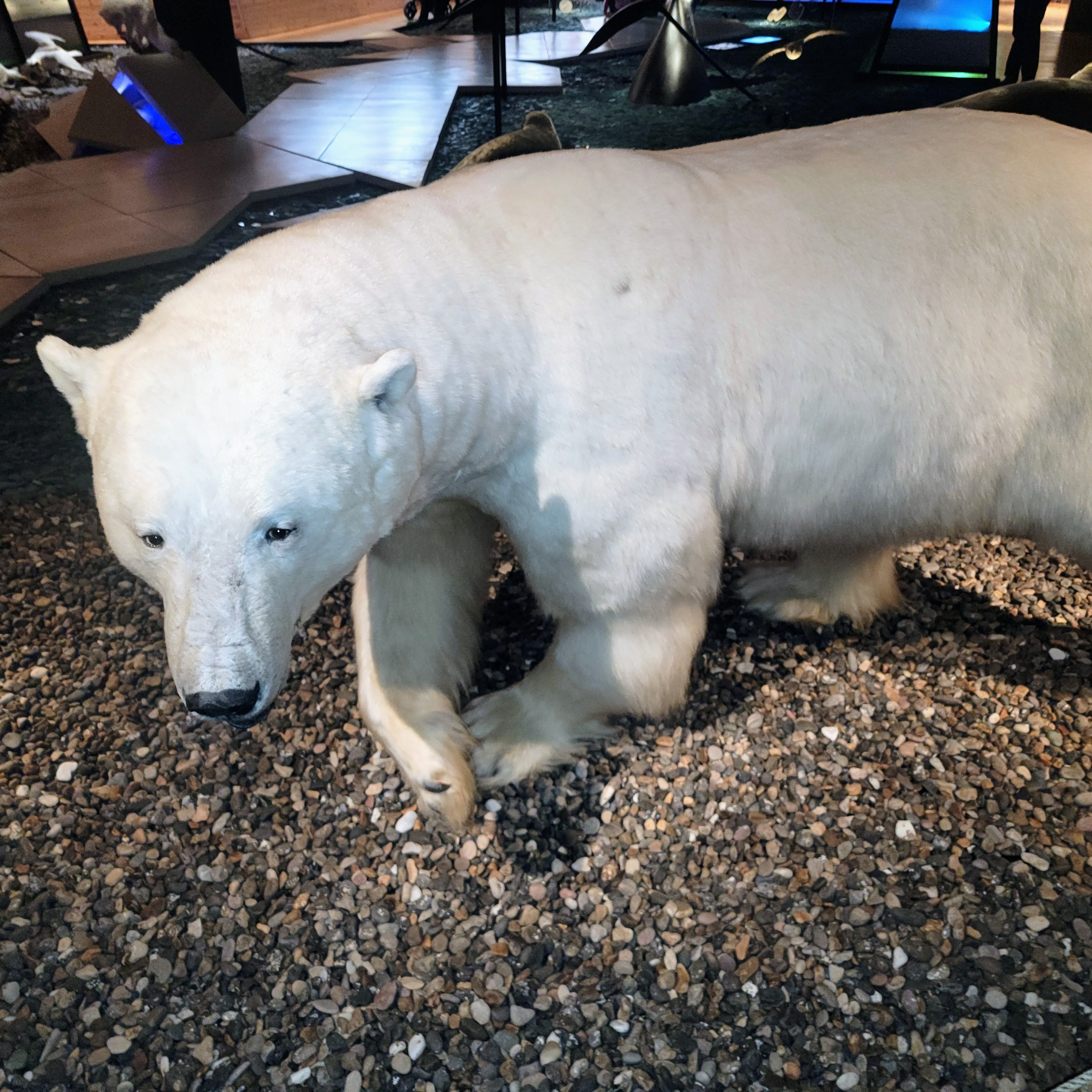 Season 5 episode 62 preparation before heading into the northern Arctic circle