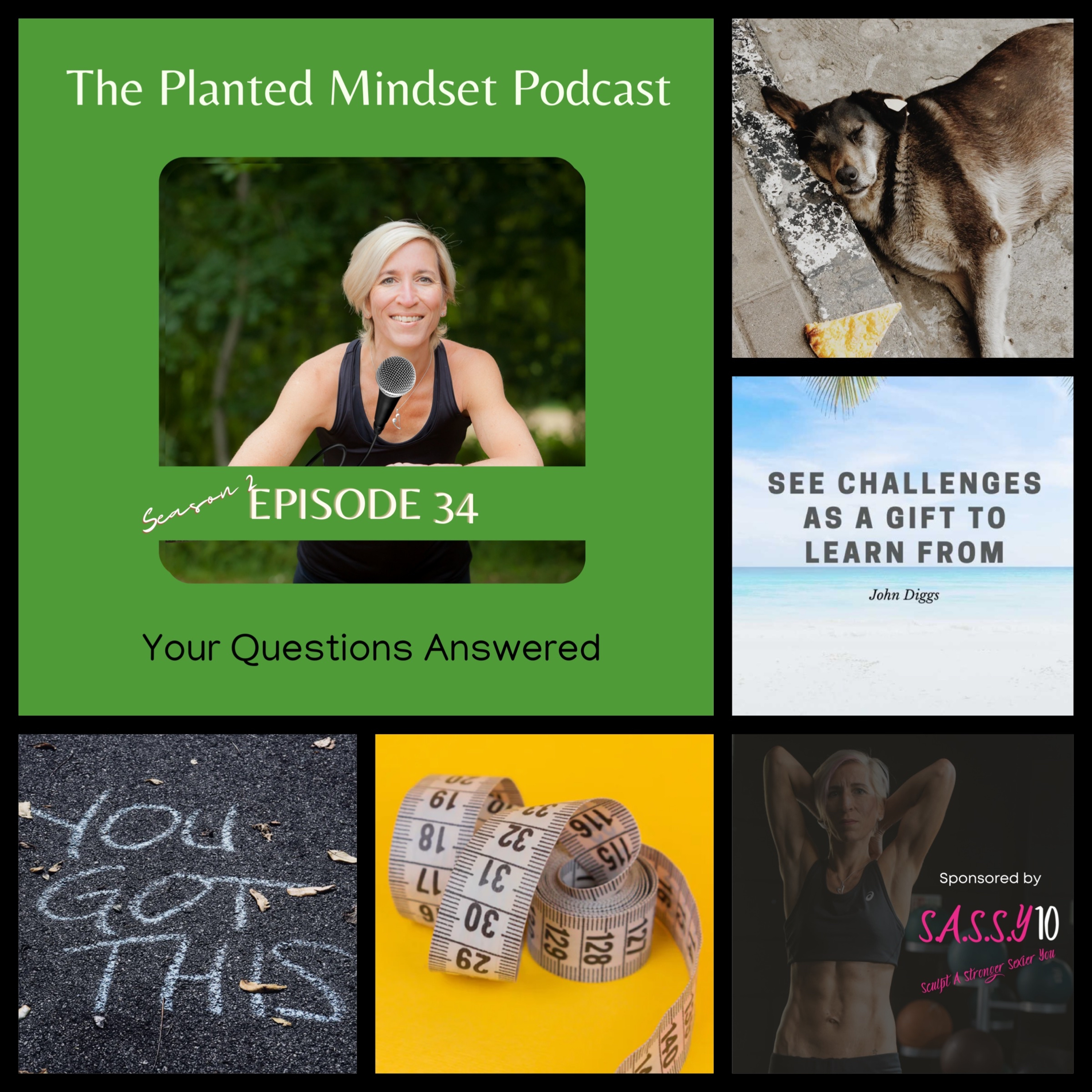 Plantbased FM