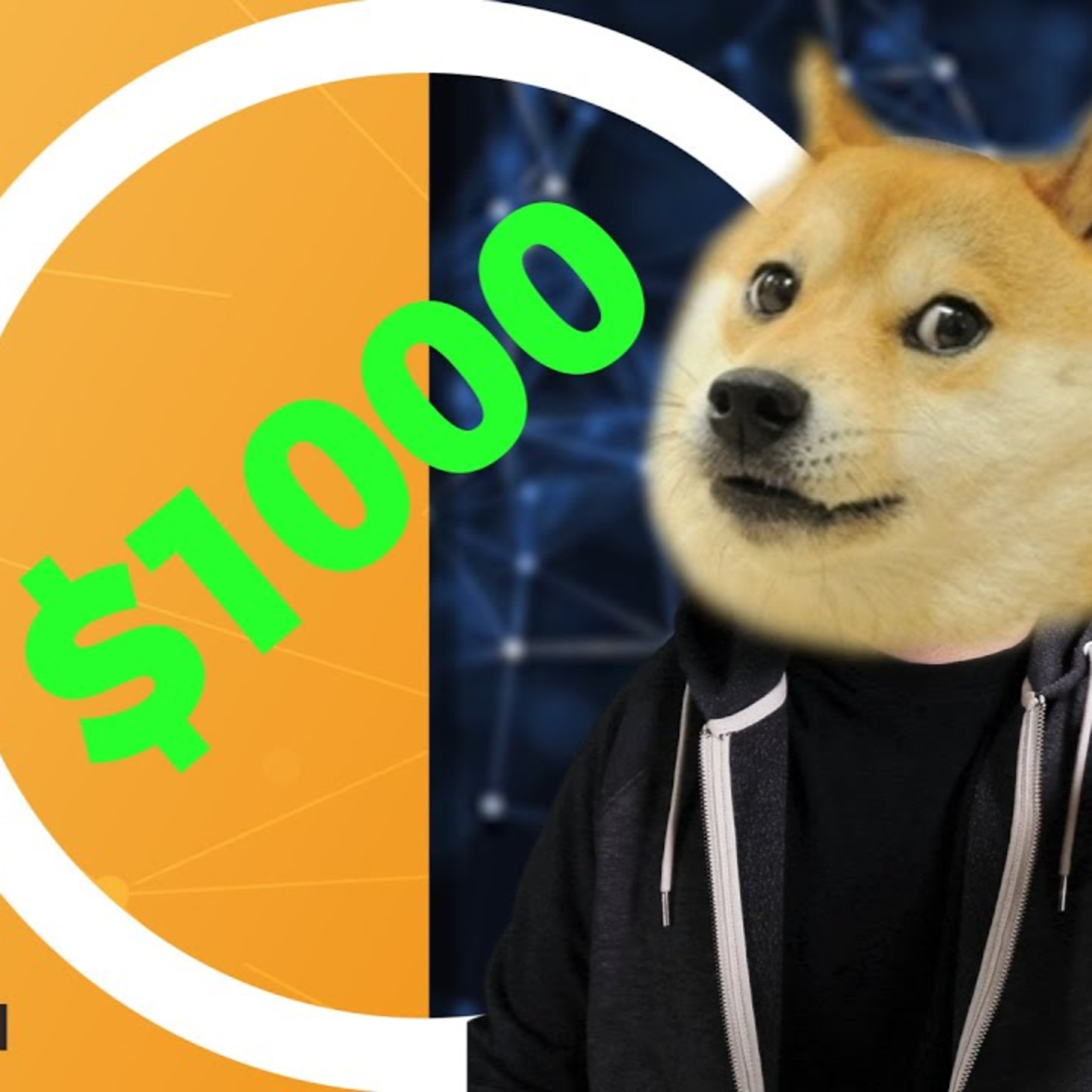 🐕Dogecoin na $1000 | 🚨Urgentní video🚨 | Koupil jsem DOGE a tohle se stalo... - CEx 07/05/2021