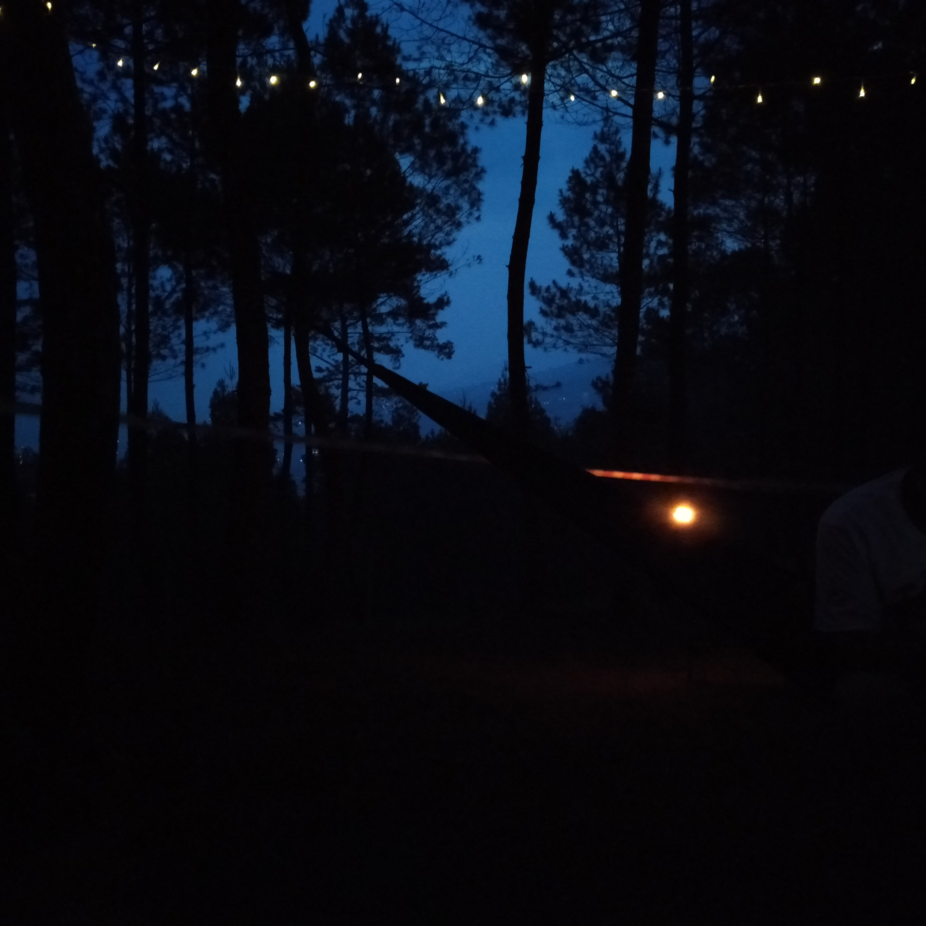 Catatan Damar Ancala