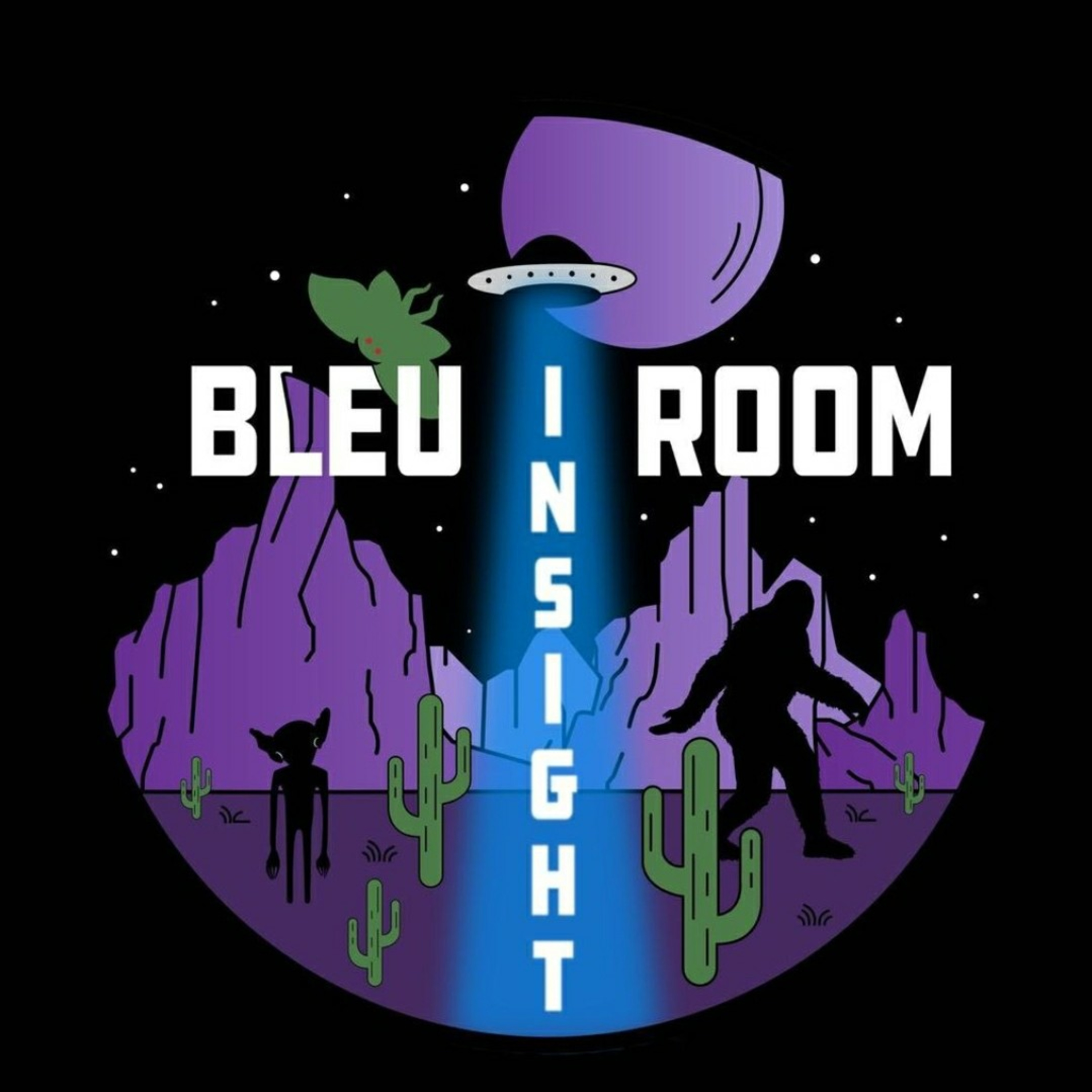 Bleu Room Insight: UFO/ETs  episode artwork