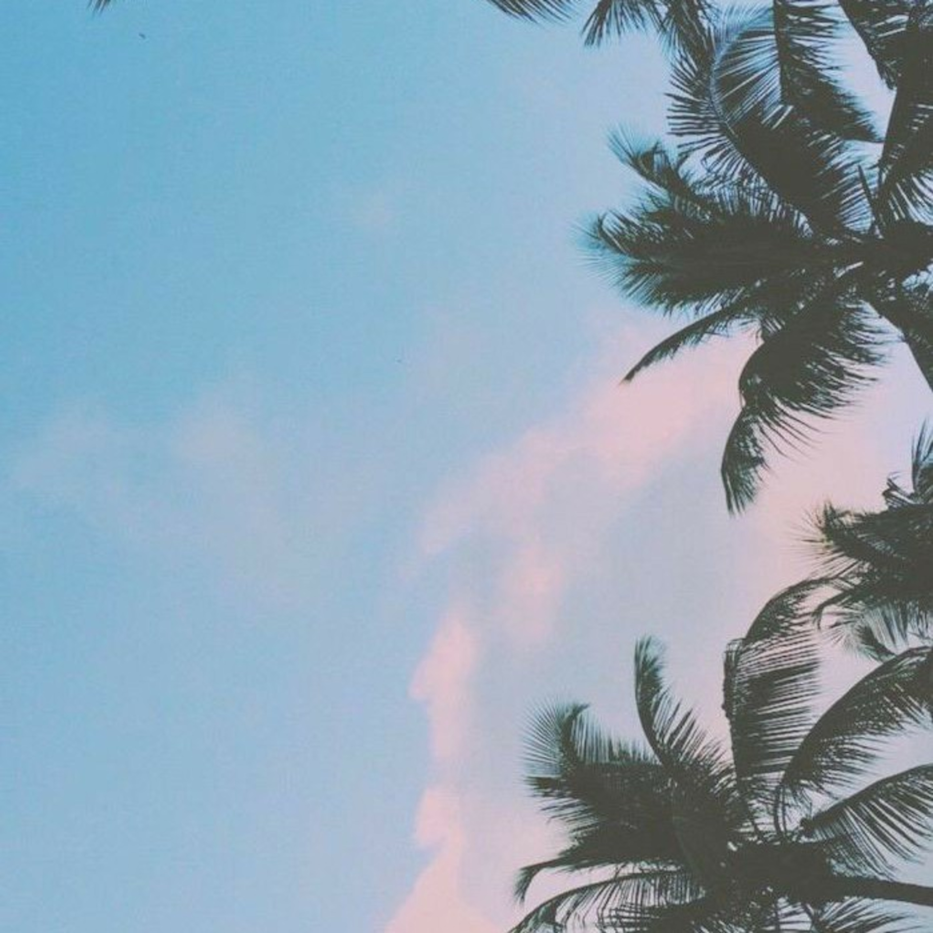 thought\'s